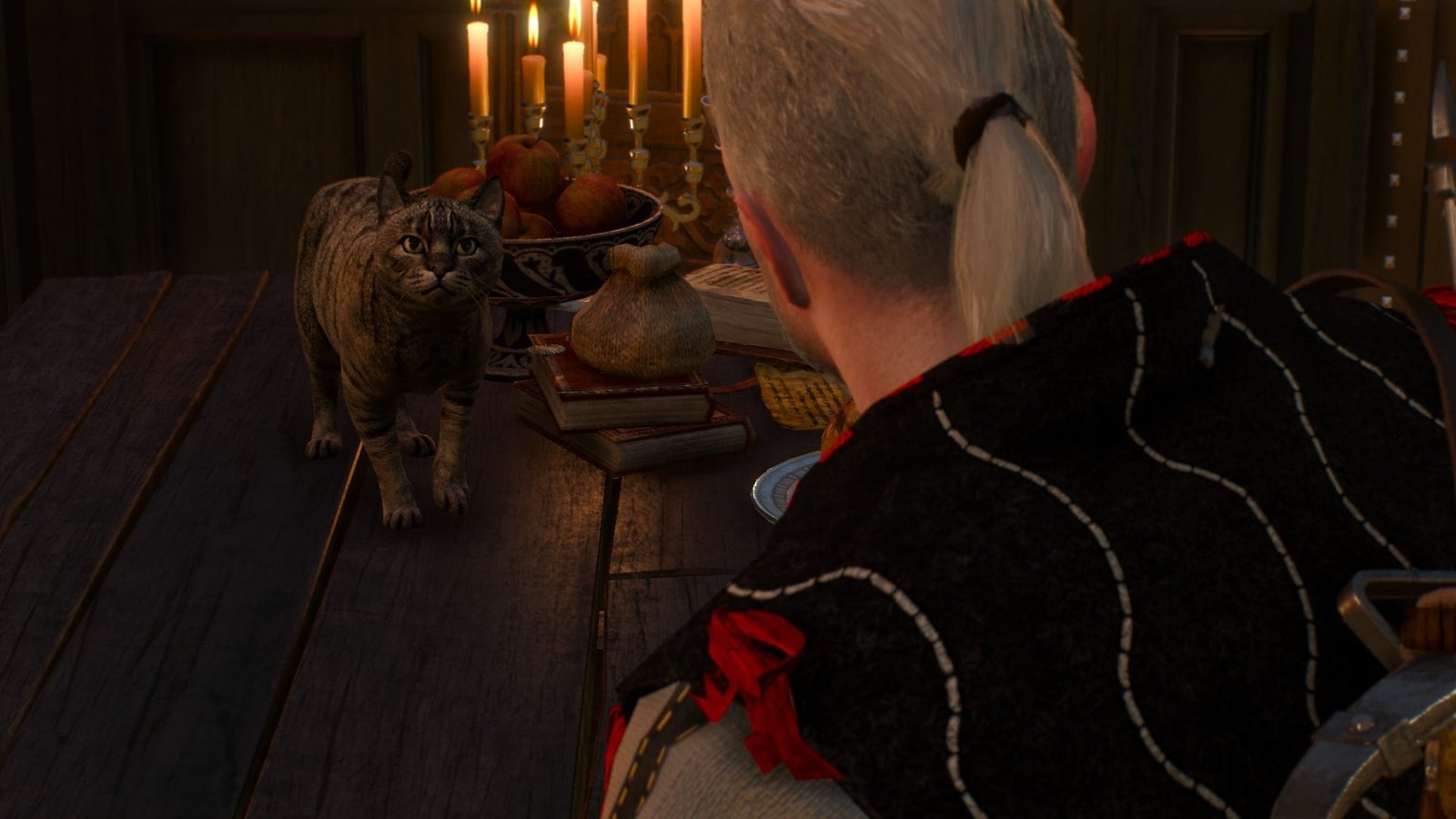 The Witcher 3 Wild Hunt domestic animals mammal pets indoors 2k