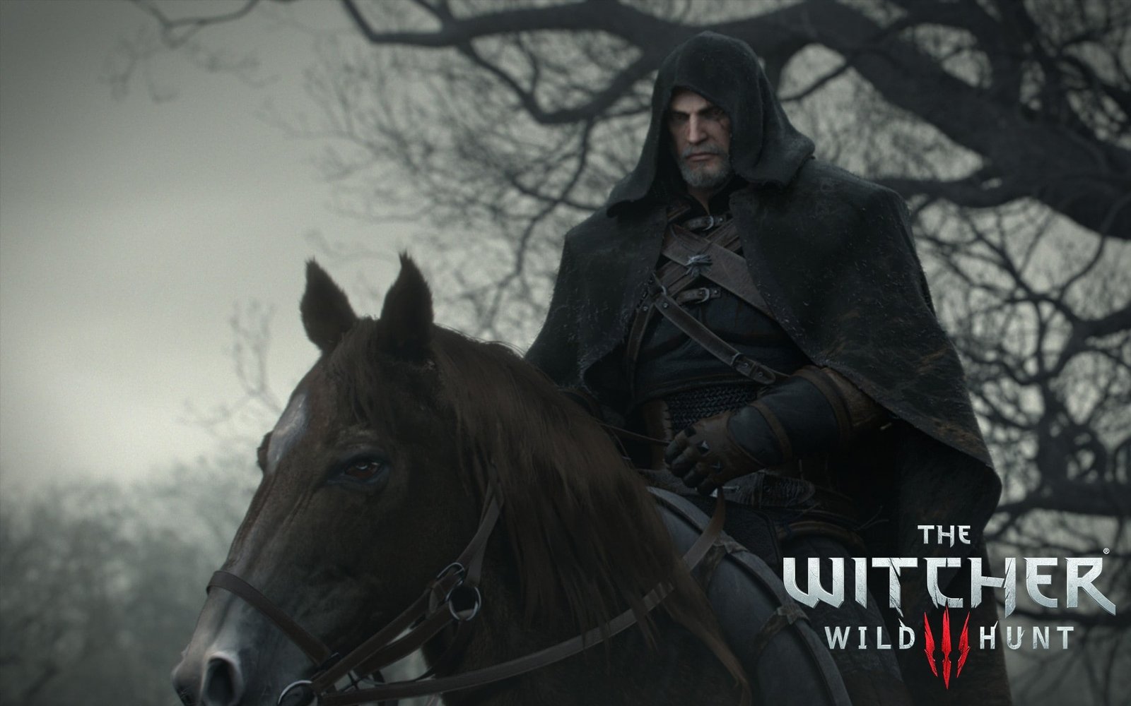 The Witcher 3 Wild Hunt video games Geralt of Rivia 2k