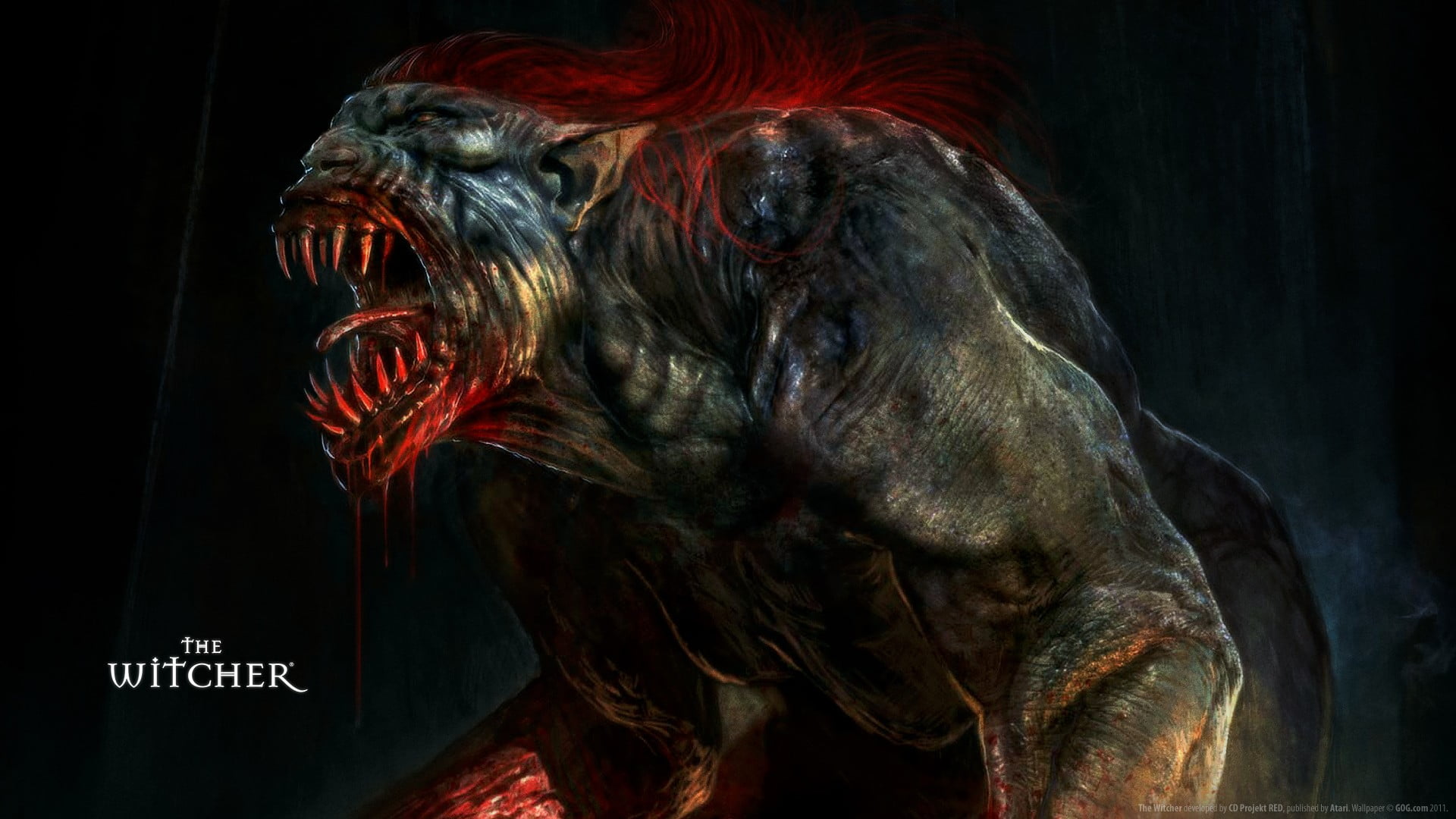 The Witcher animal themes mammal indoors no people 2k