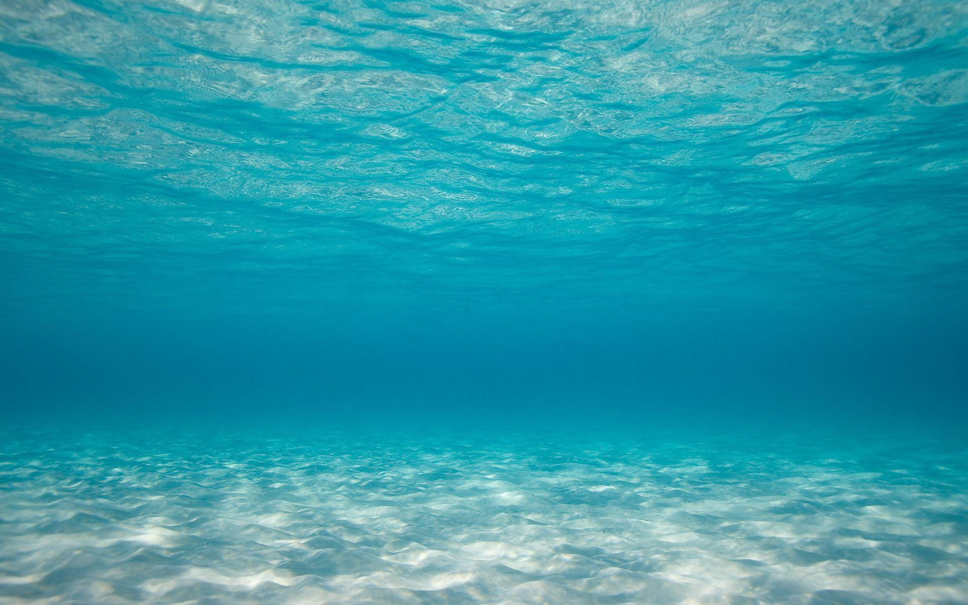 Bottom of the sea body water beaches ocean underwater 2k