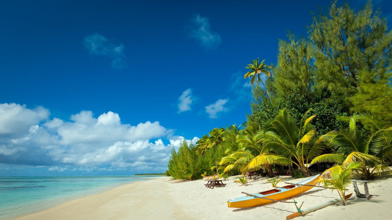 brown and blue board beach island nature tropical white 2k