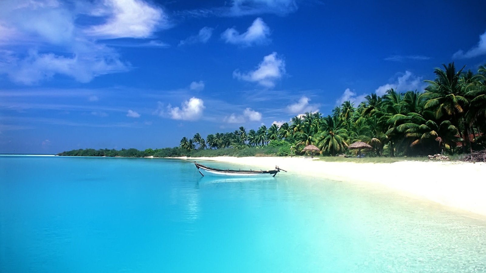 tropical sea boat palm trees beach water scenics nature 2k