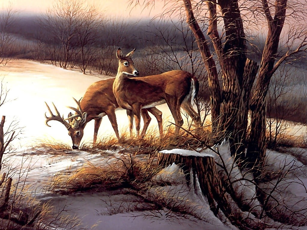 two brown deer painting animals nature Terry Redlin artwork