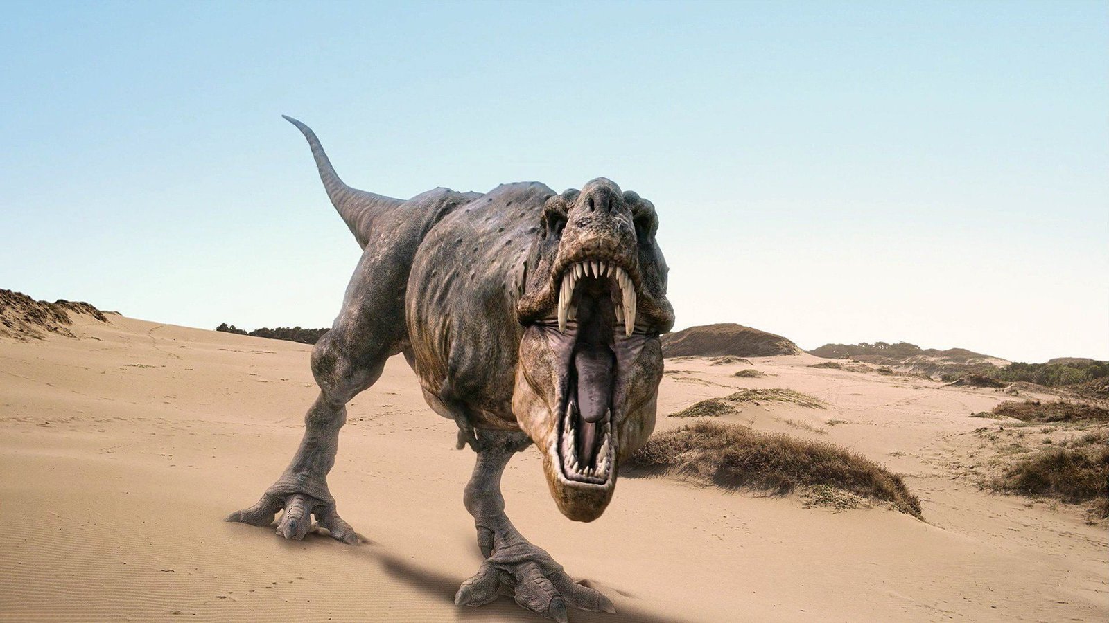 digital art dinosaur ultra hd pics 2k