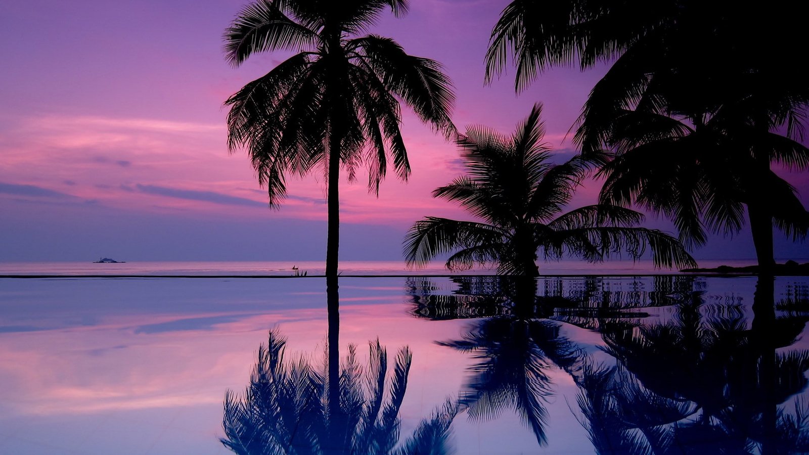 download nature for pc tree water sky palm 2k