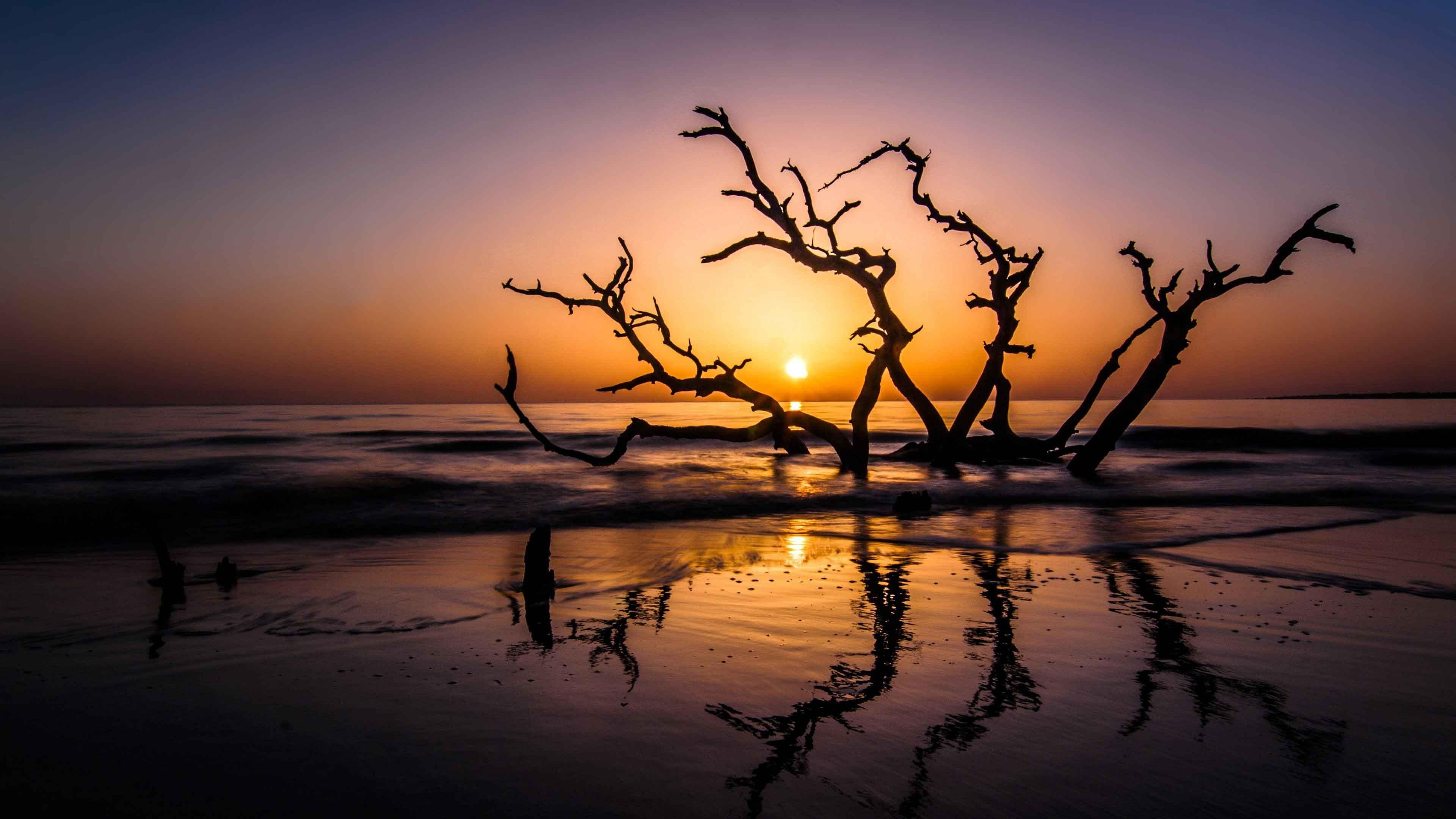driftwood beach sunset reflection jekyll island sea coastline 2k 4k
