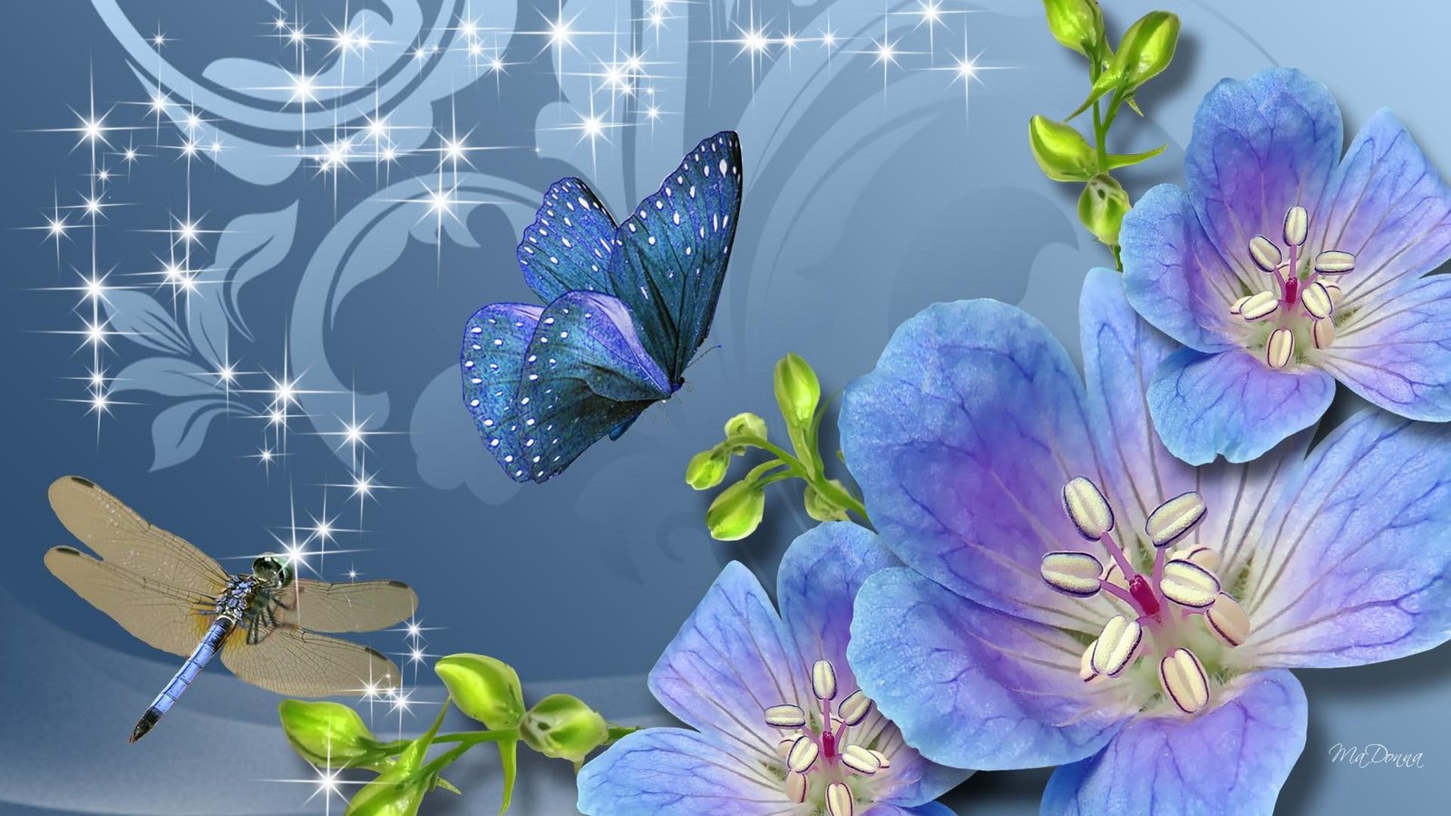 Fun Flowers Dragonfly purple petaled flower and butterfly artwork 2k