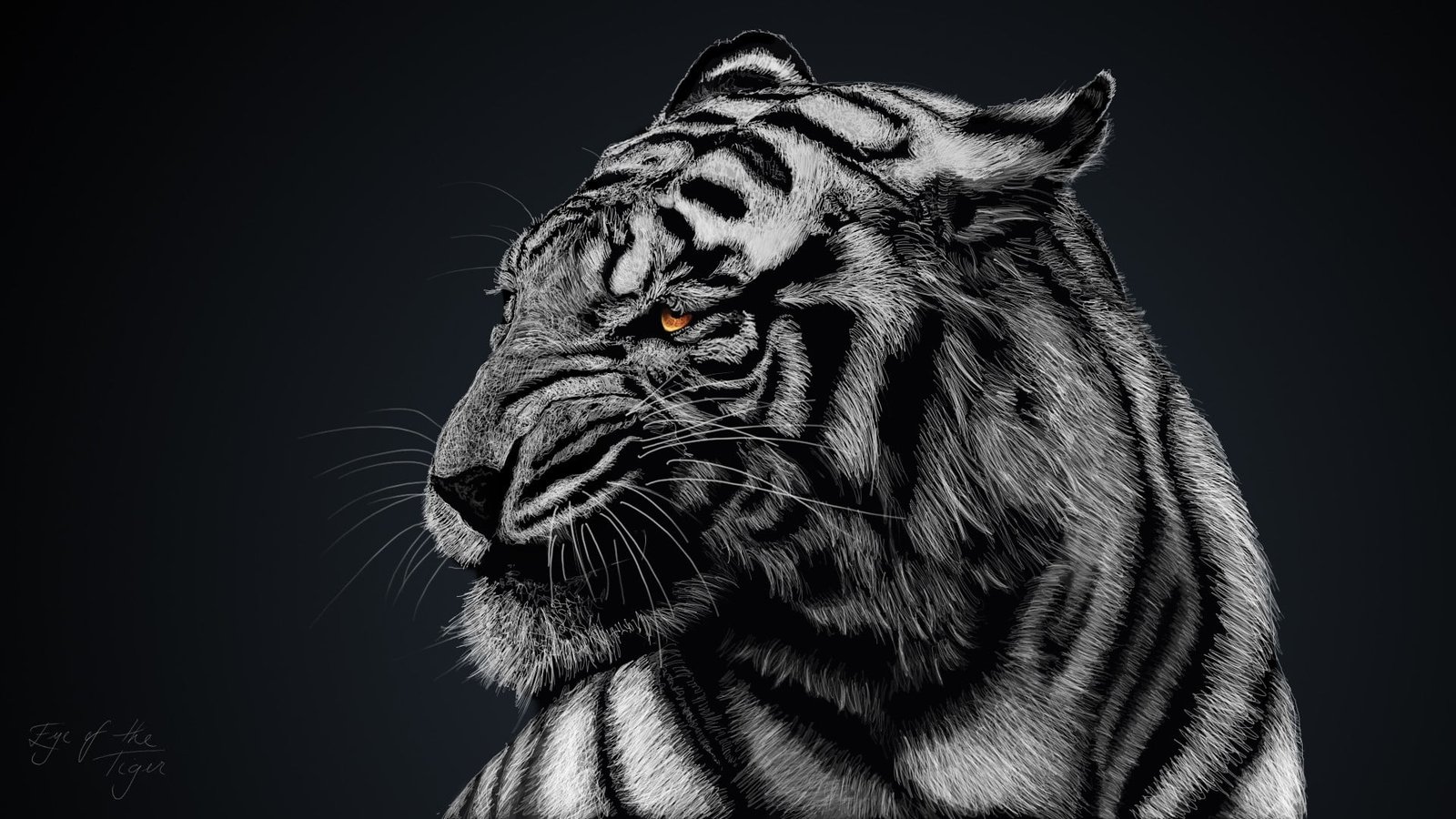 gray and black tiger greyscale photo of animals white tigers 2k