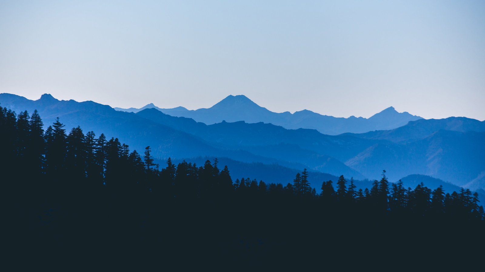 green trees nature landscape forest mountains mist clear sky 2k 4k