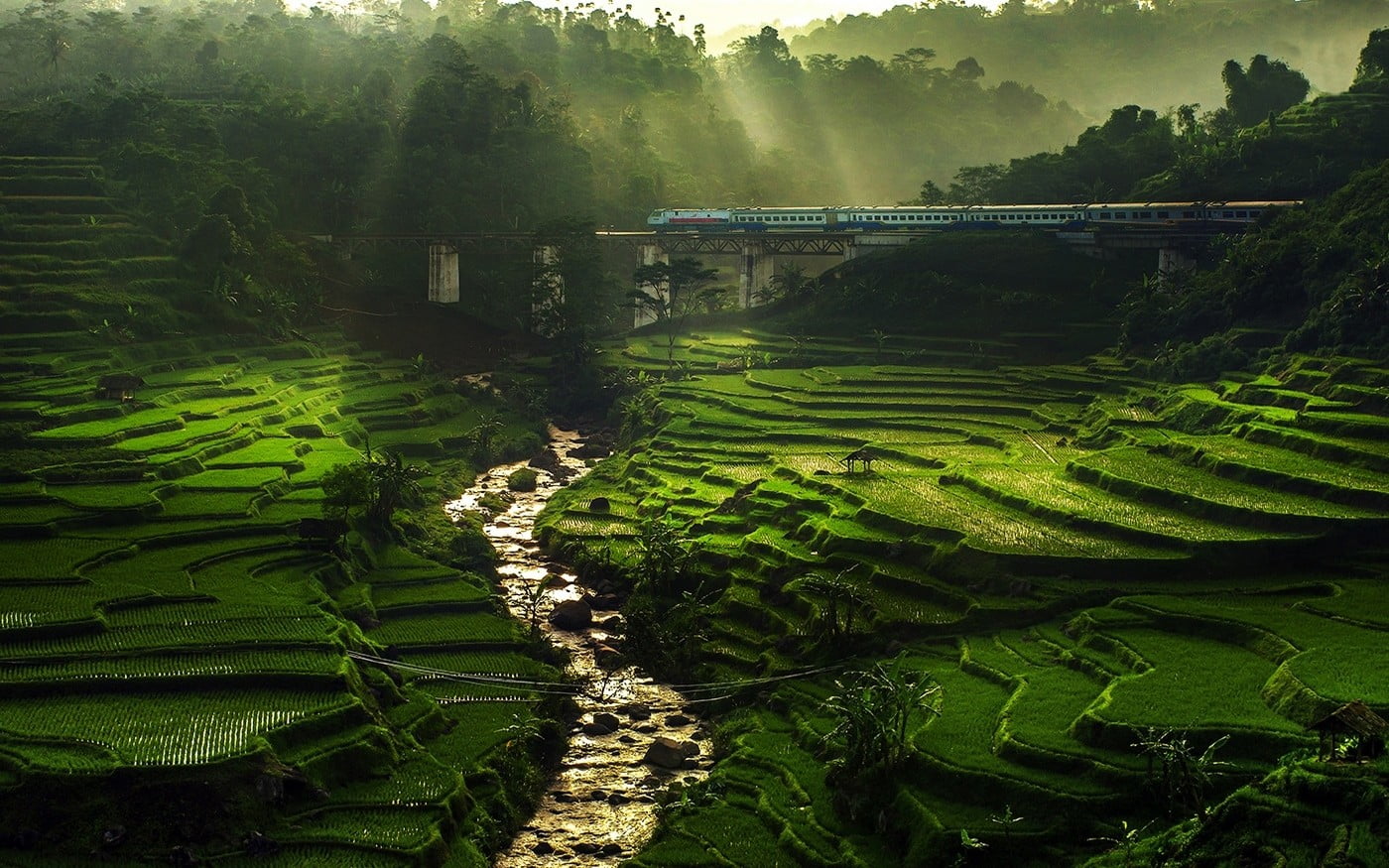 hill landscape nature rice paddy river sun rays field terraces