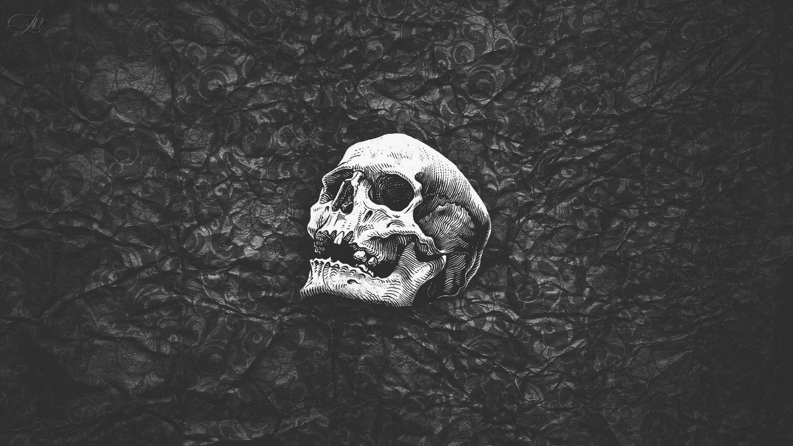 human skull wallpaper black white abstract simple artwork 2k