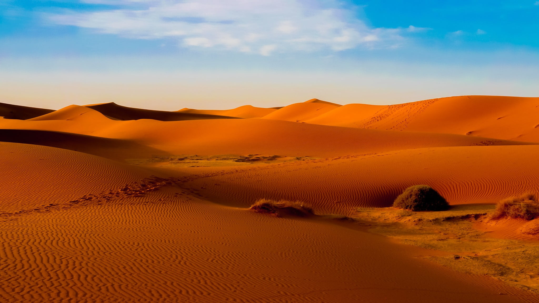 landscape photography of desert nature dune sand Sahara Morocco 2k