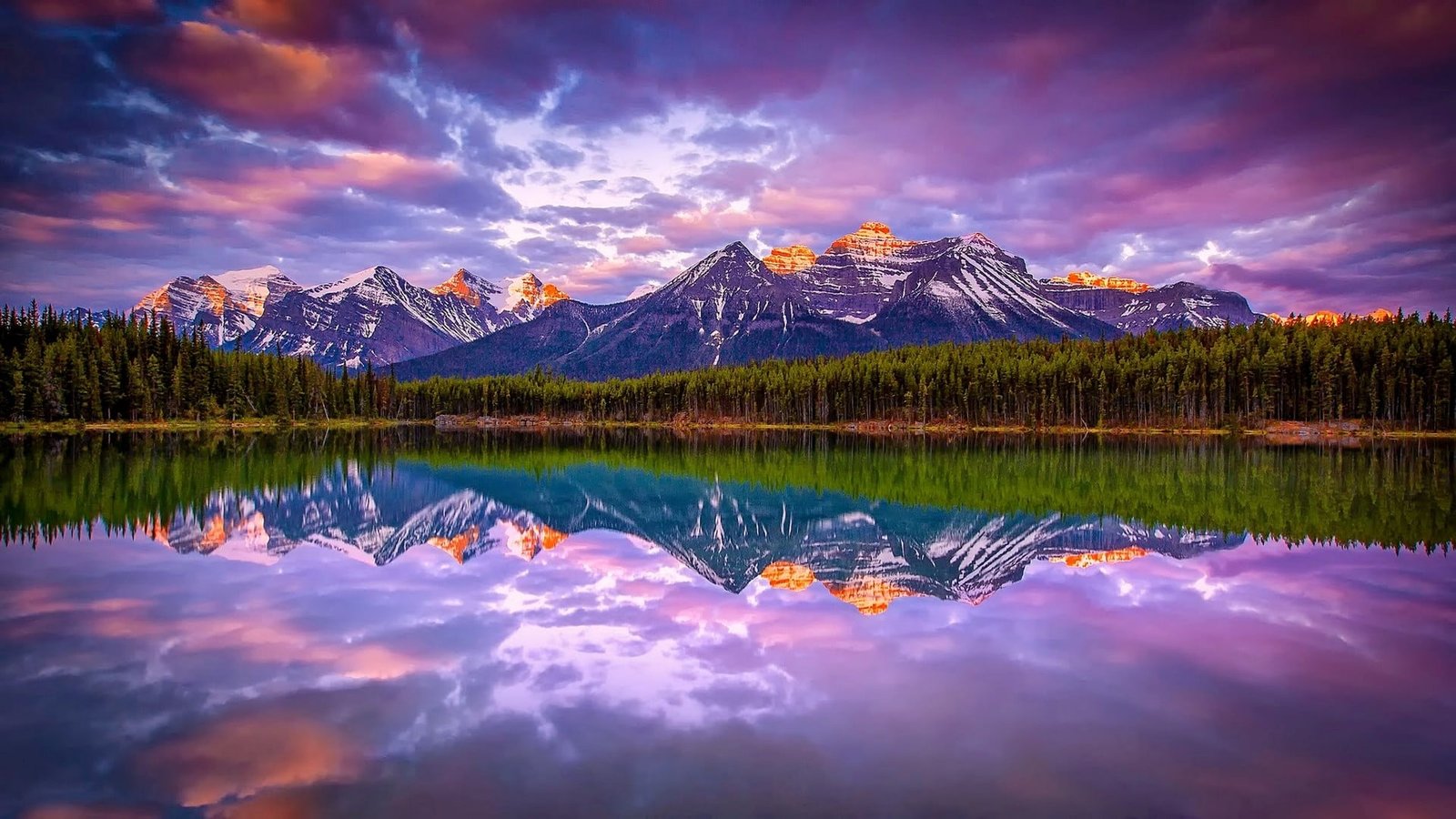 landscape photography of green plants and mountain lake mountains 2k