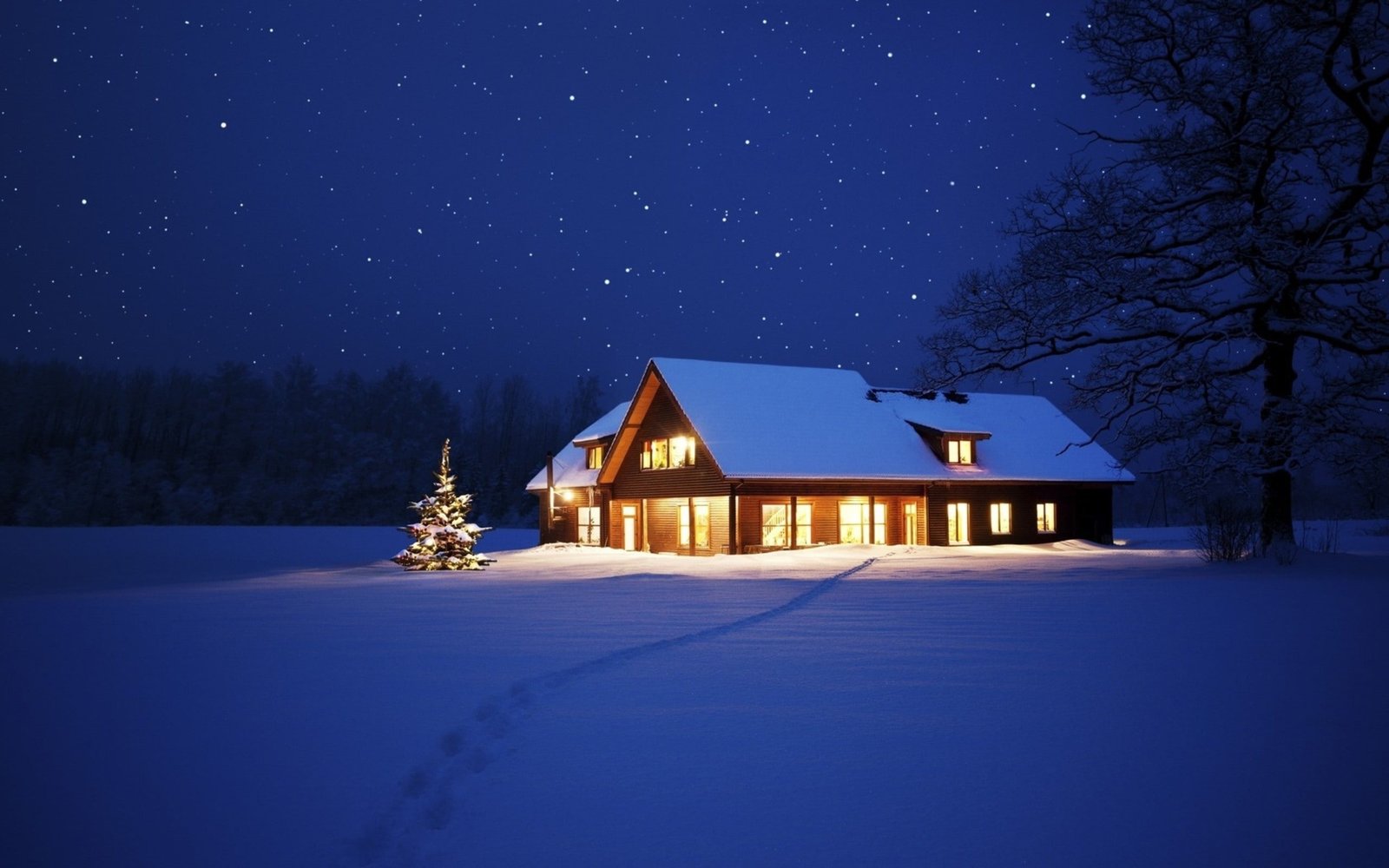 nature cabin winter snow night 2k