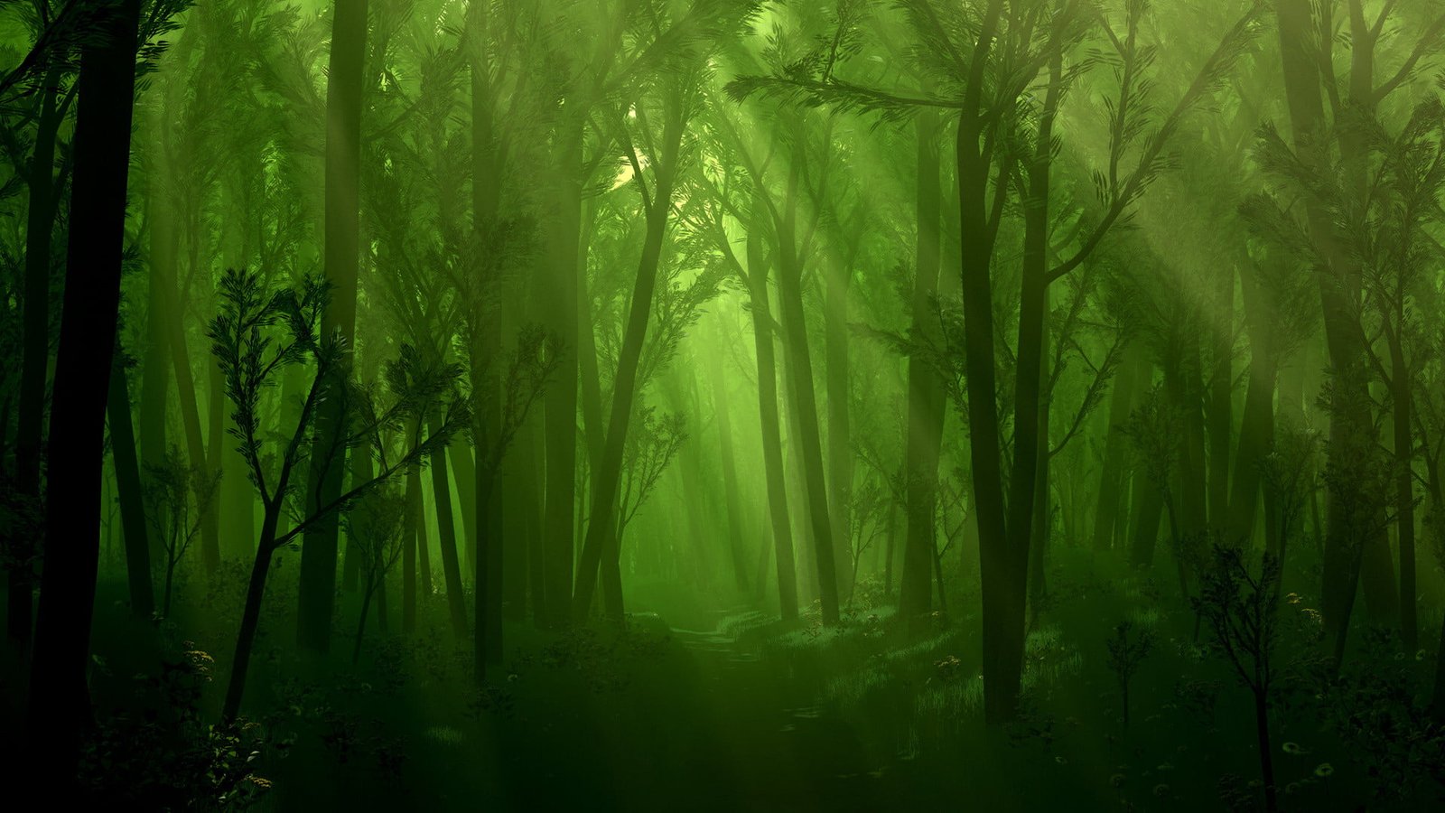 nature green plant leaf light bright pattern design 2k