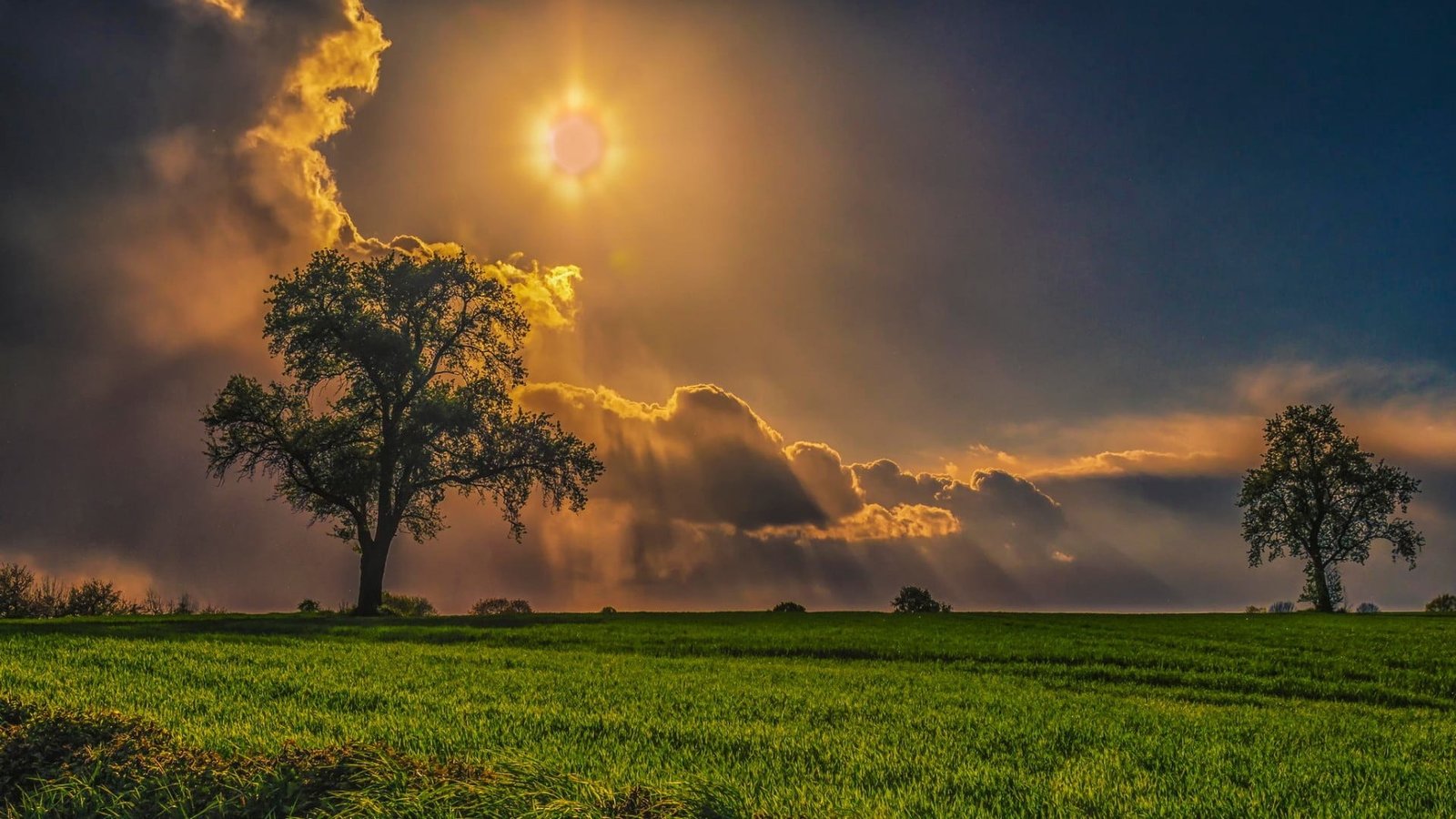 nature sky landscape sun clouds field horizon atmosphere 2k
