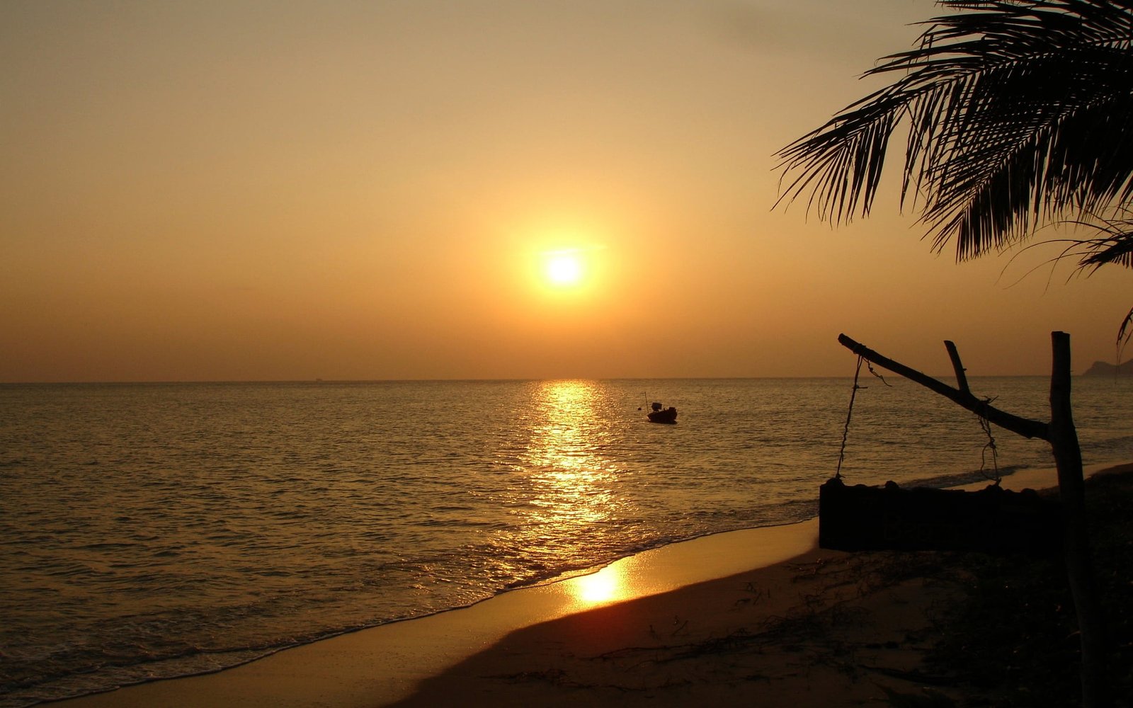 palm tree silhouette Thailand sunset beach landscape water 2k