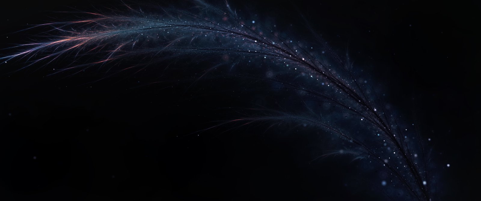 purple feather feathers black background motion nature no people 2k