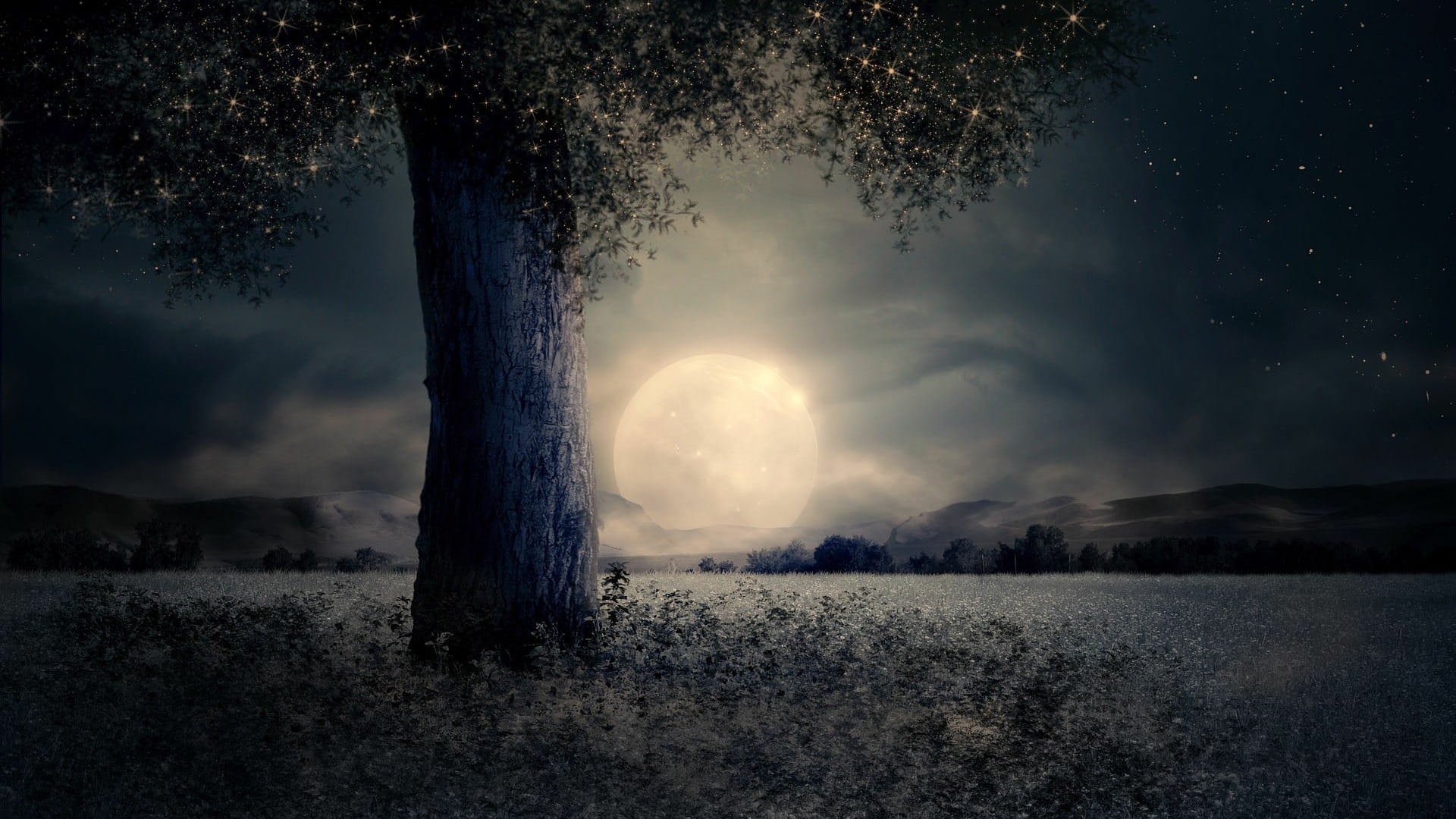 sky full moon nature darkness freezing tree night cloud 2k