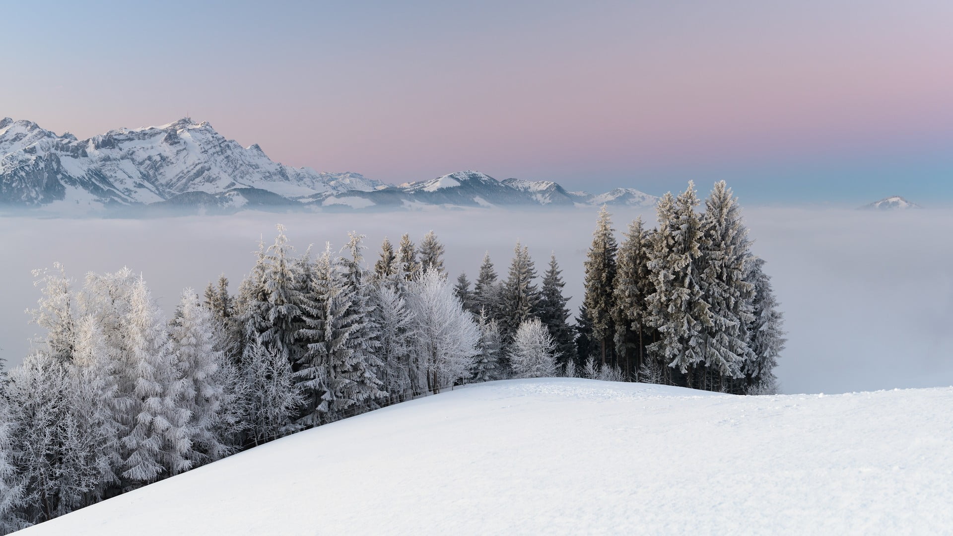 snowcapped mountains and trees nature forest mist landscape 2k
