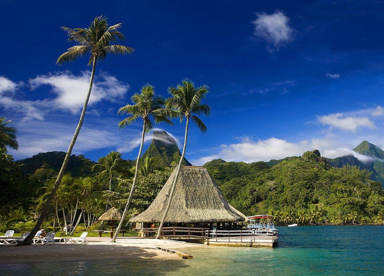 Tahiti tropical island palm trees mountains beach forest
