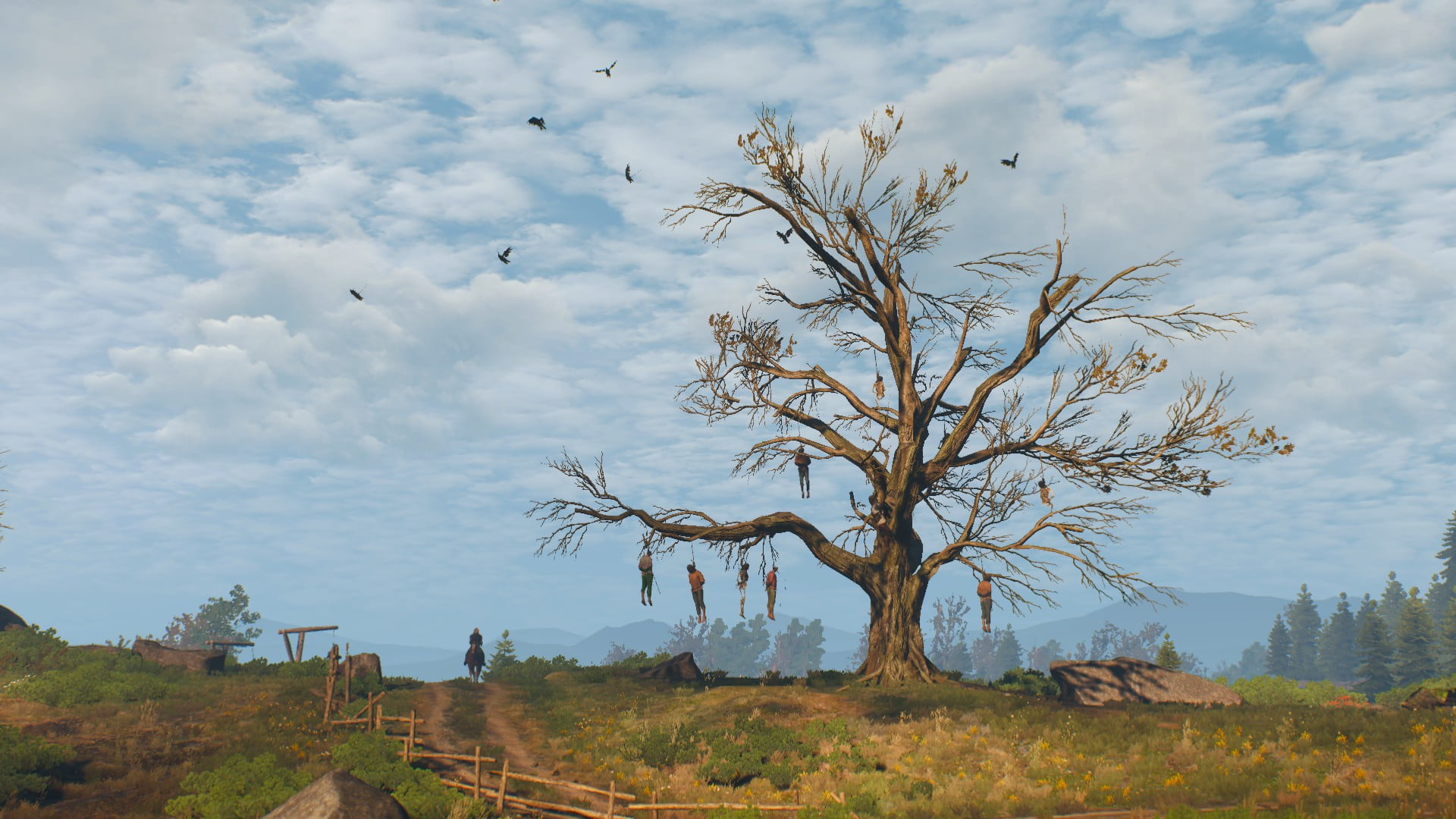 The Witcher 3 Wild Hunt Roach Geralt of Riva 2k