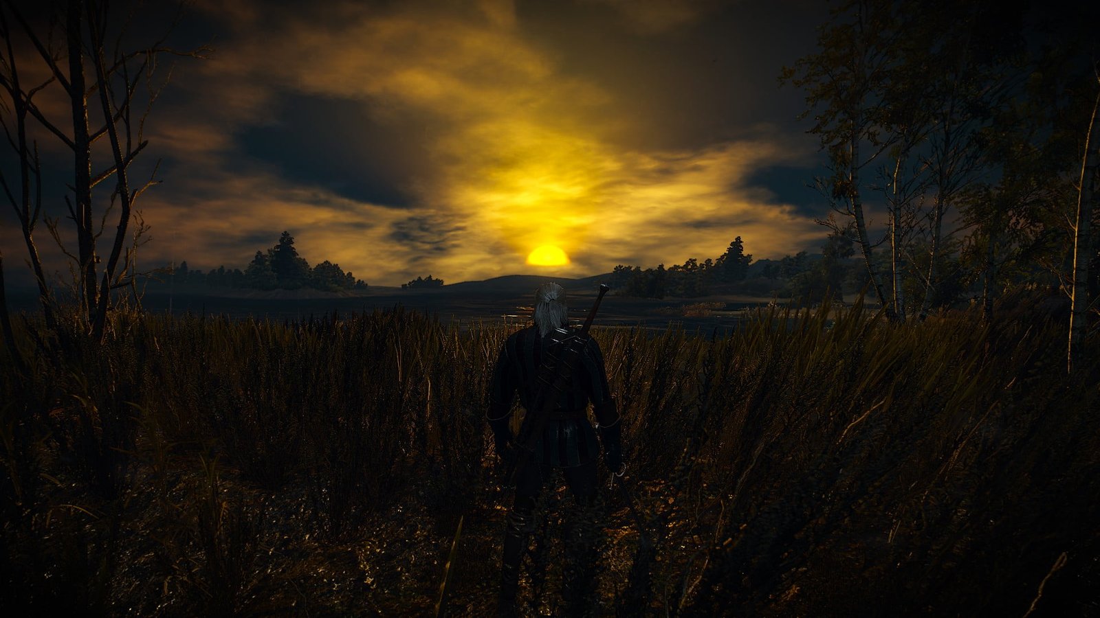 The Witcher 3 Wild Hunt video games RPG Geralt of Rivia 2k