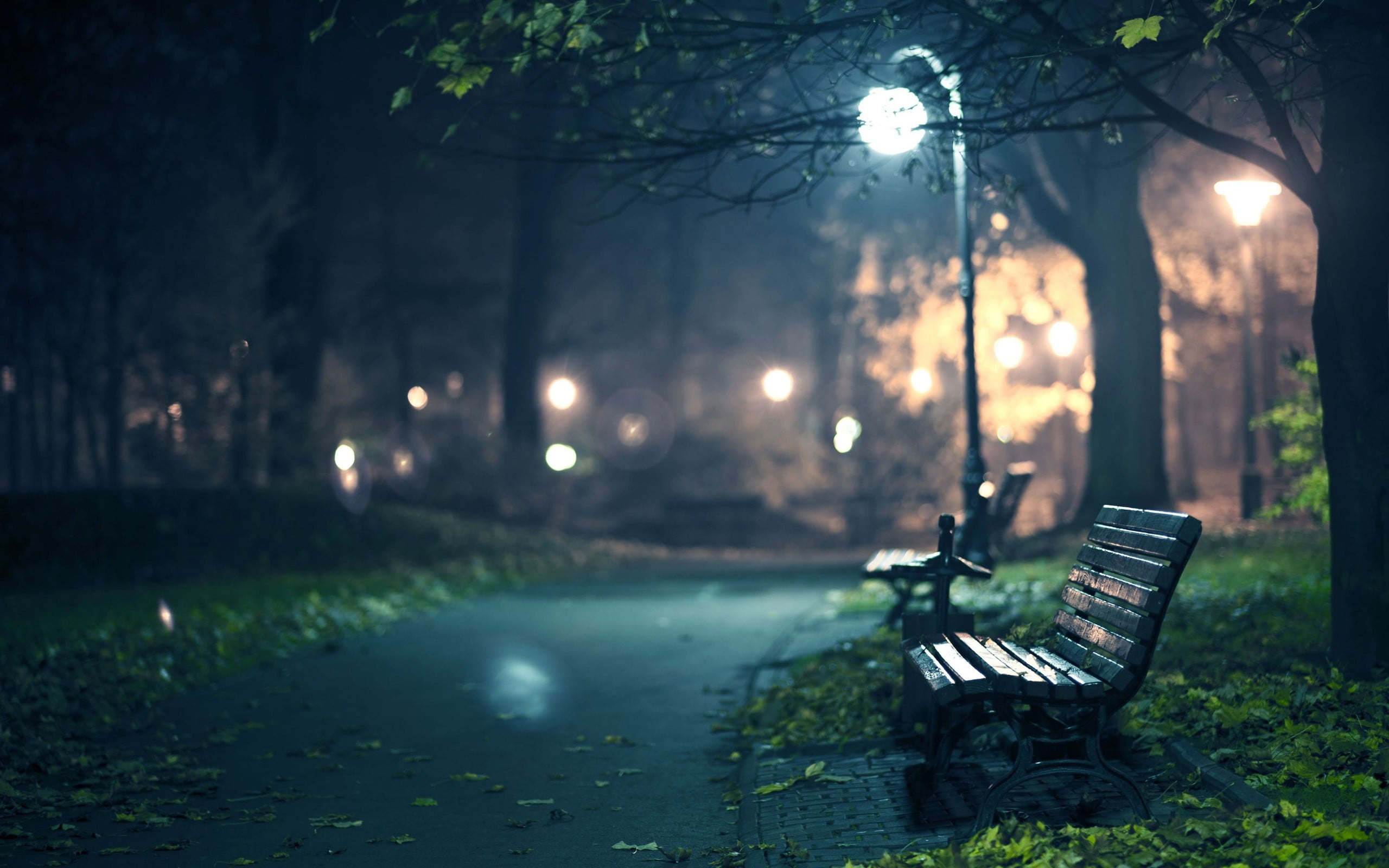 two black benches near tree at night photo brown wooden slatted bench during nighttime 36 2k