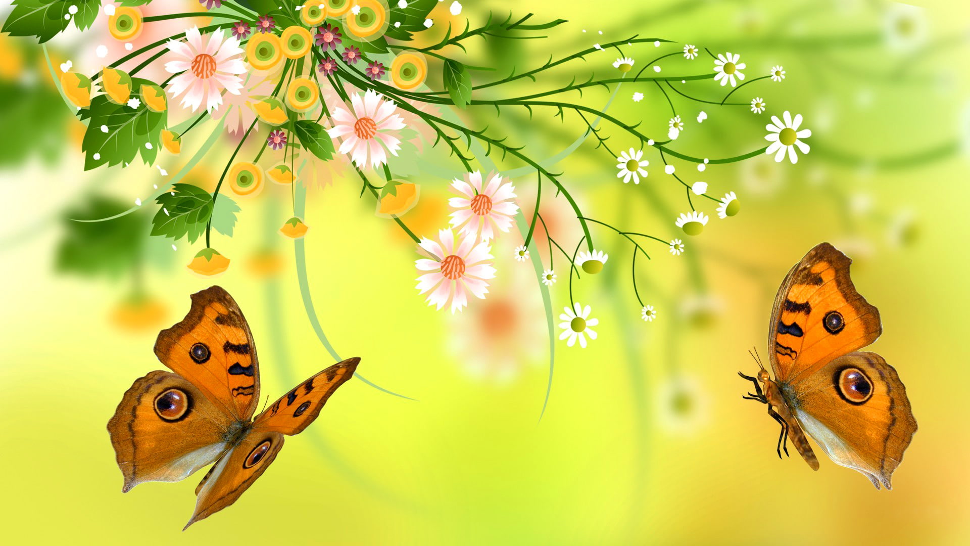 two orange and black butterflies wallpaper leaves flowers nature 2k