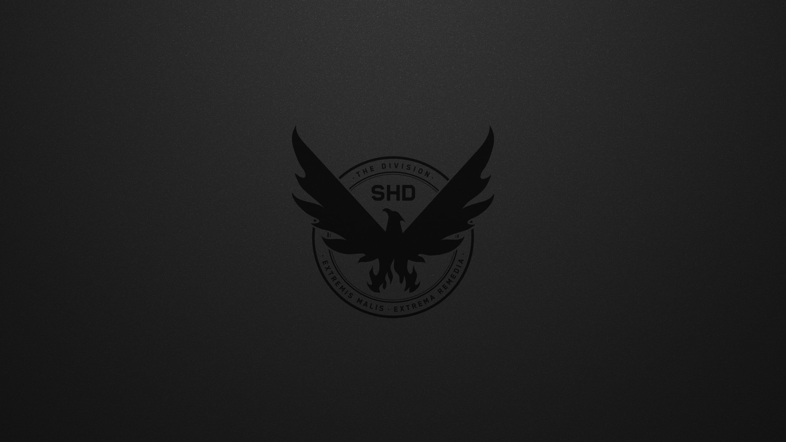 Video Game Tom Clancy's The Division 2 2k