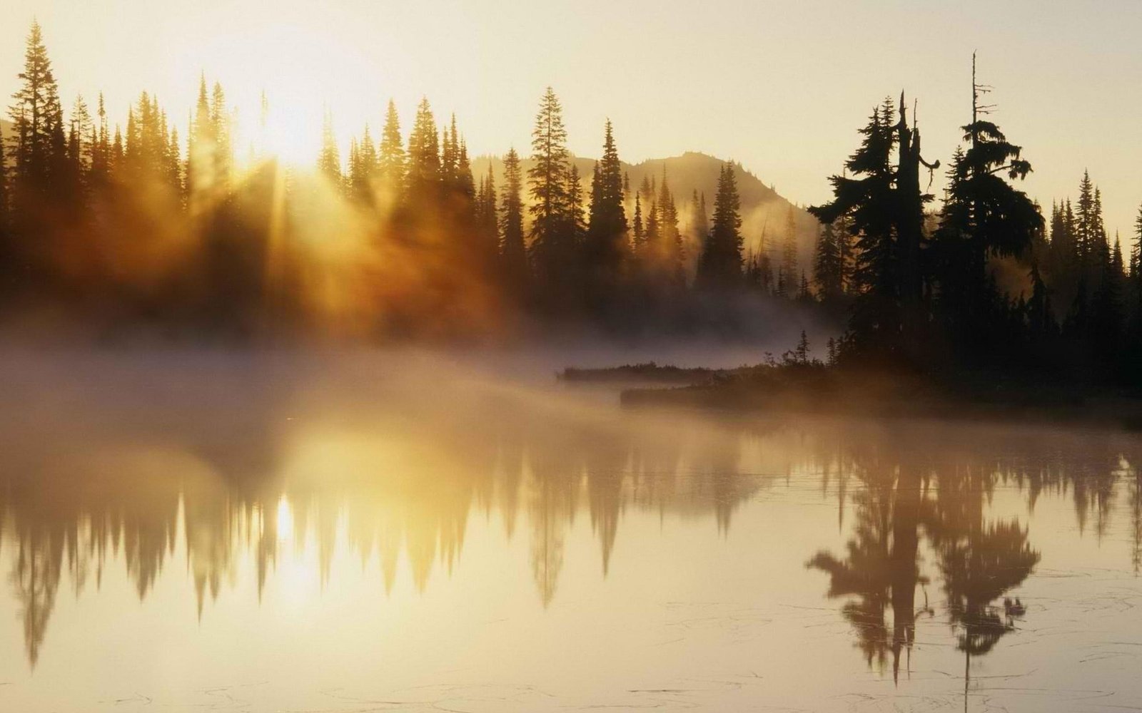 Windows 10 Nature Scenery HD Desktop Wallpaper 14 tree reflection 2k