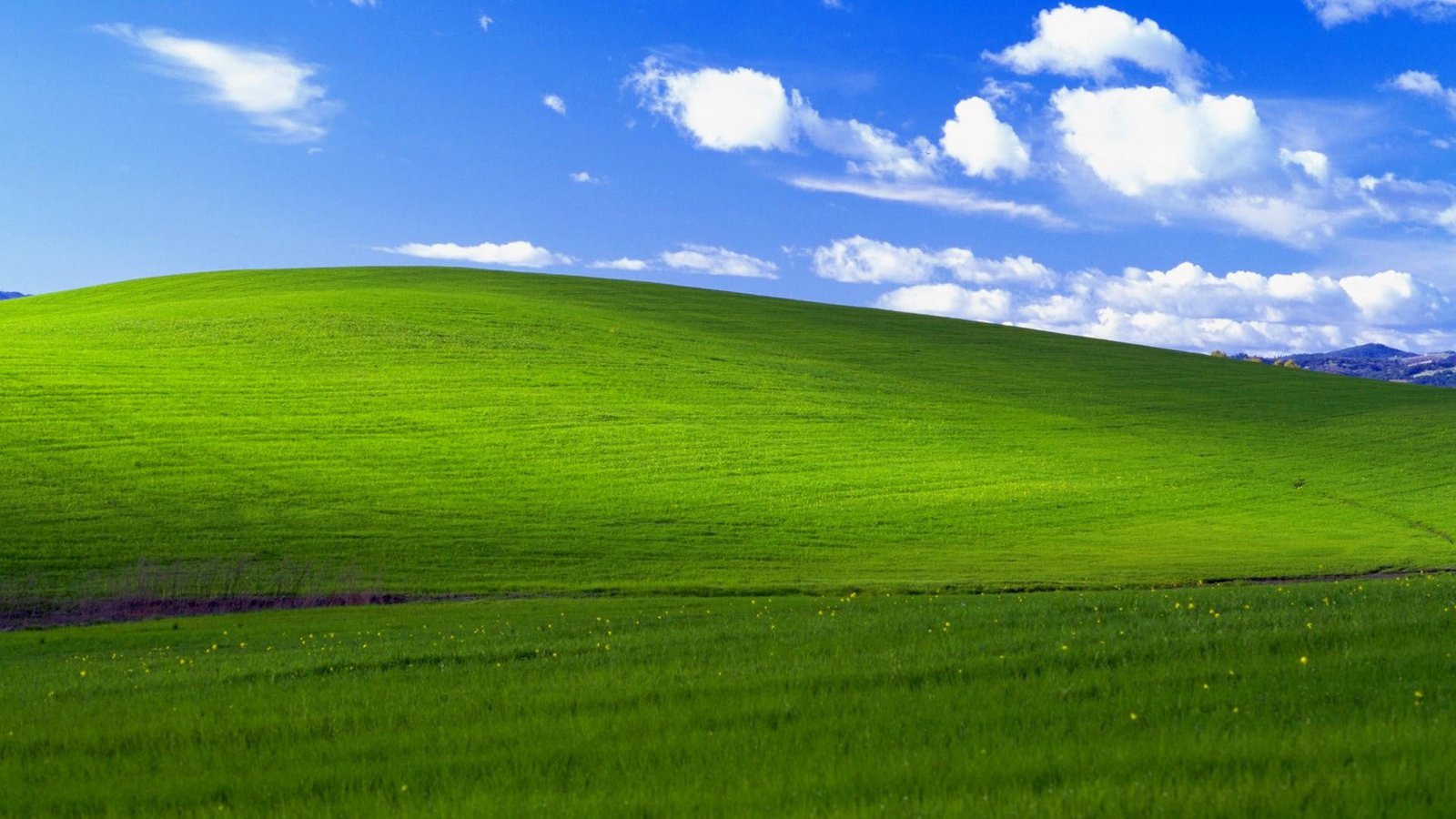 grass bliss Windows XP landscape California green color 2k