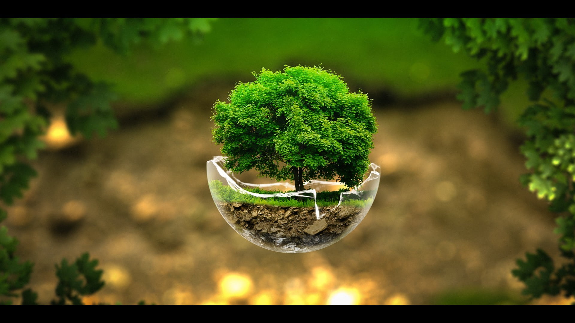 green leafed bonsai surreal broken glass Photoshop trees 2k