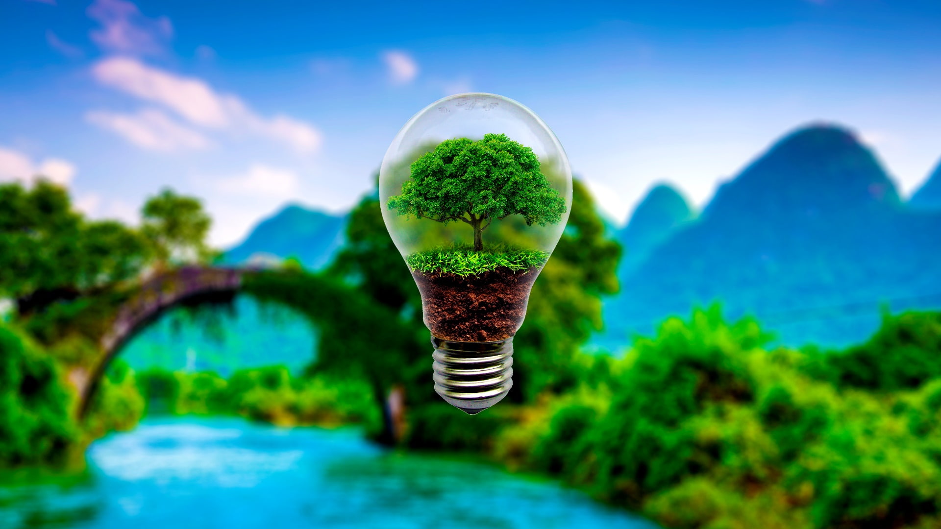 green nature light bulb energy tree lightbulb yangshuo 2k