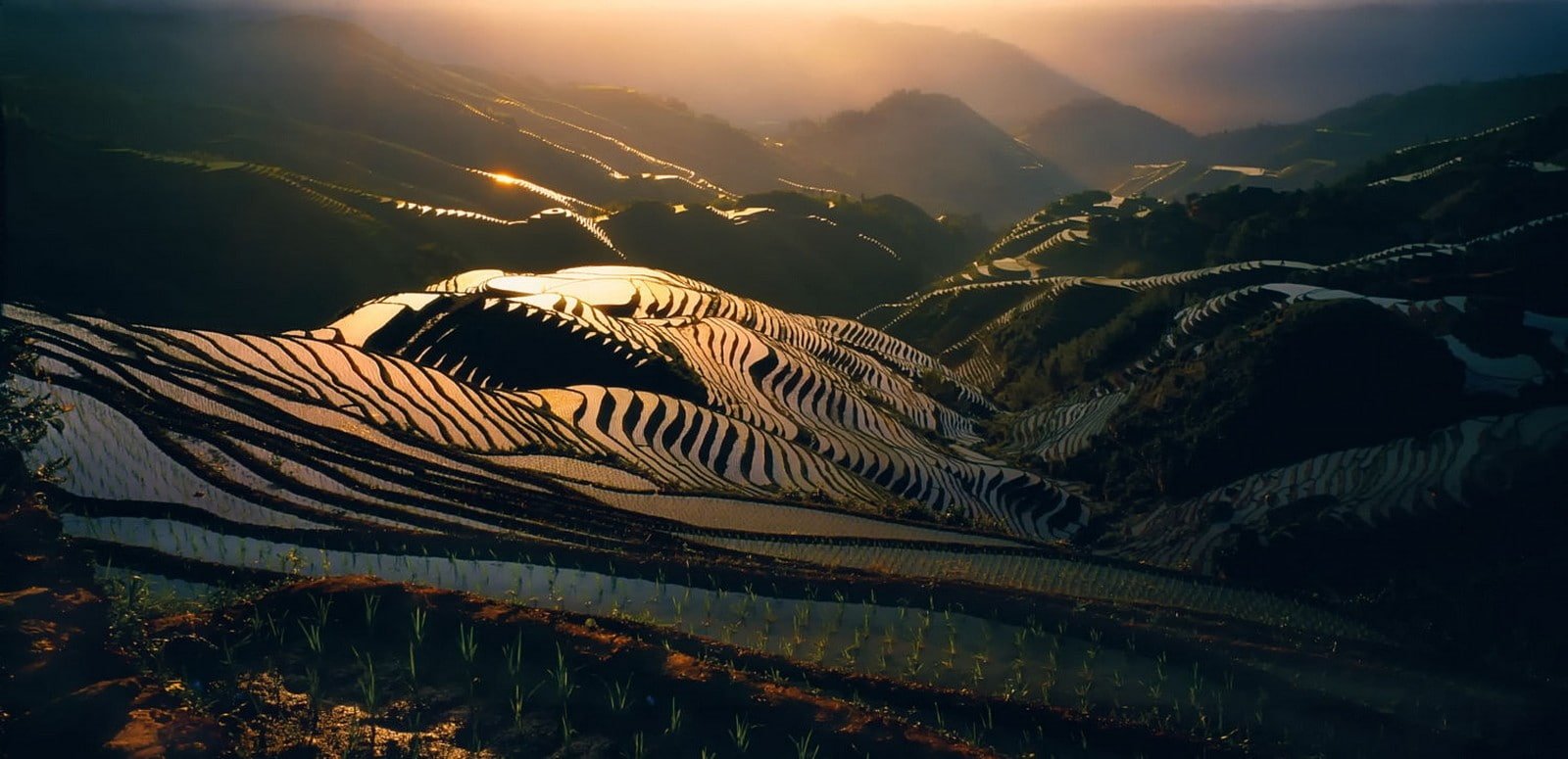 landscape nature field rice paddy mist hills sunlight 2k