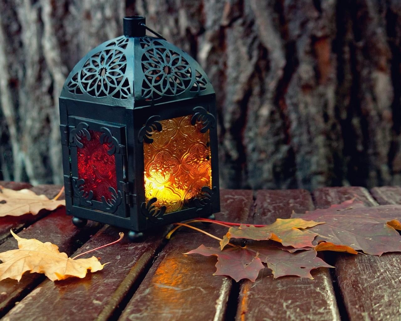 Lantern Leaves Autumn HD nature