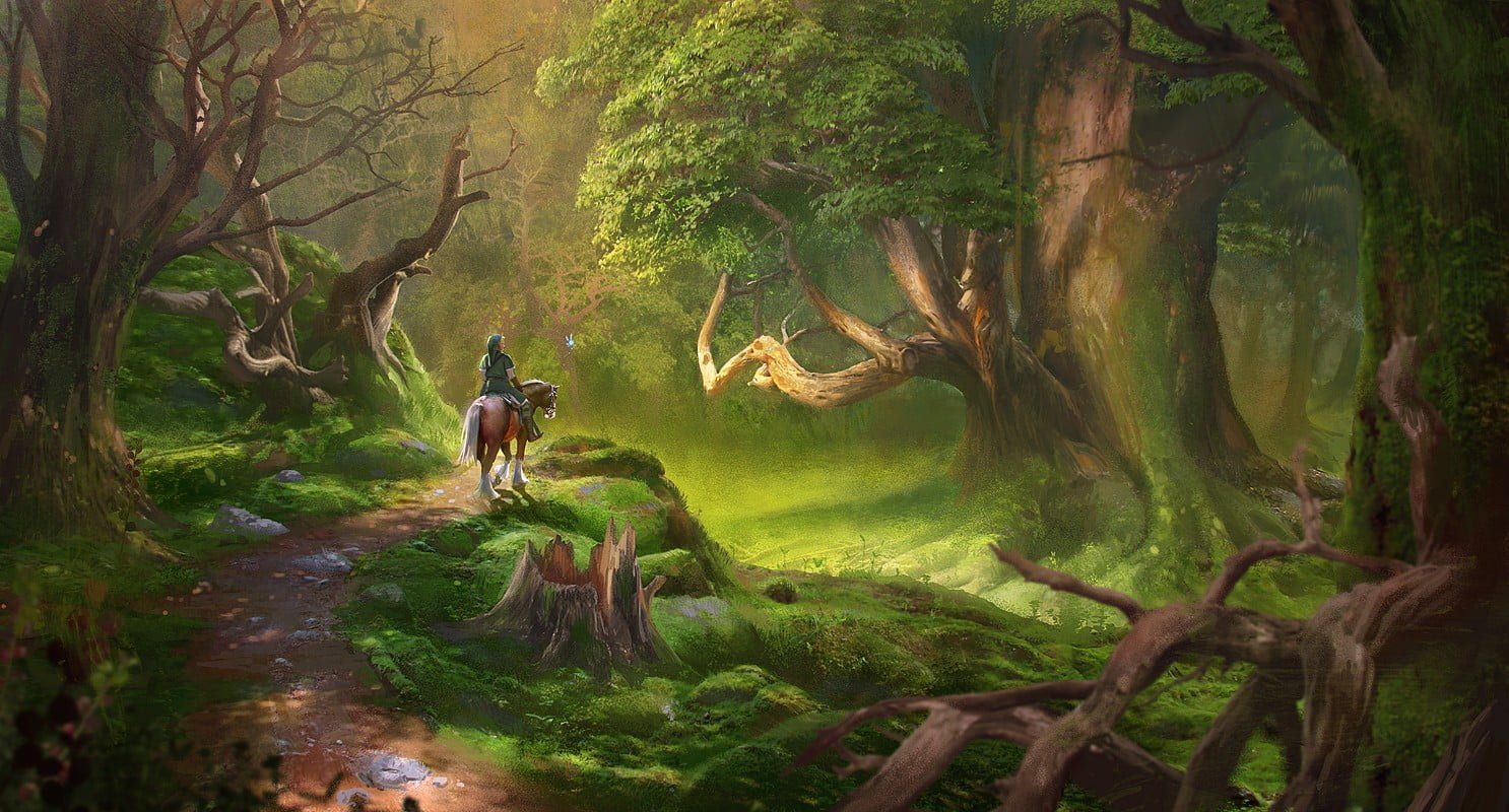 lost woods from The Legend of Zelda Link tree forest nature