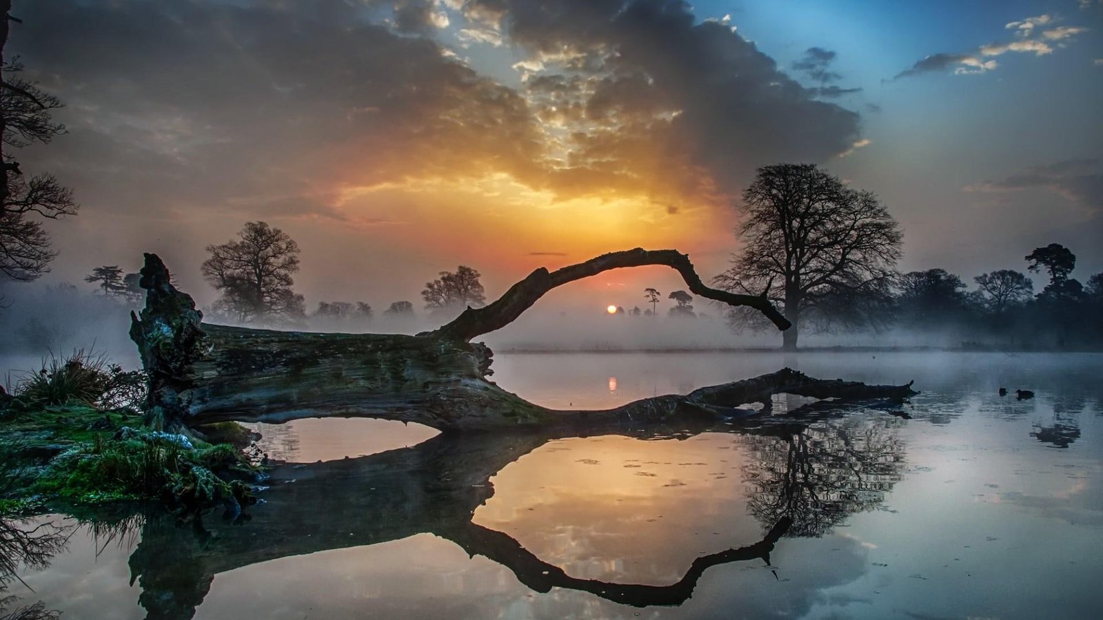 mist foggy misty dust landscape lake sunset evening 2k