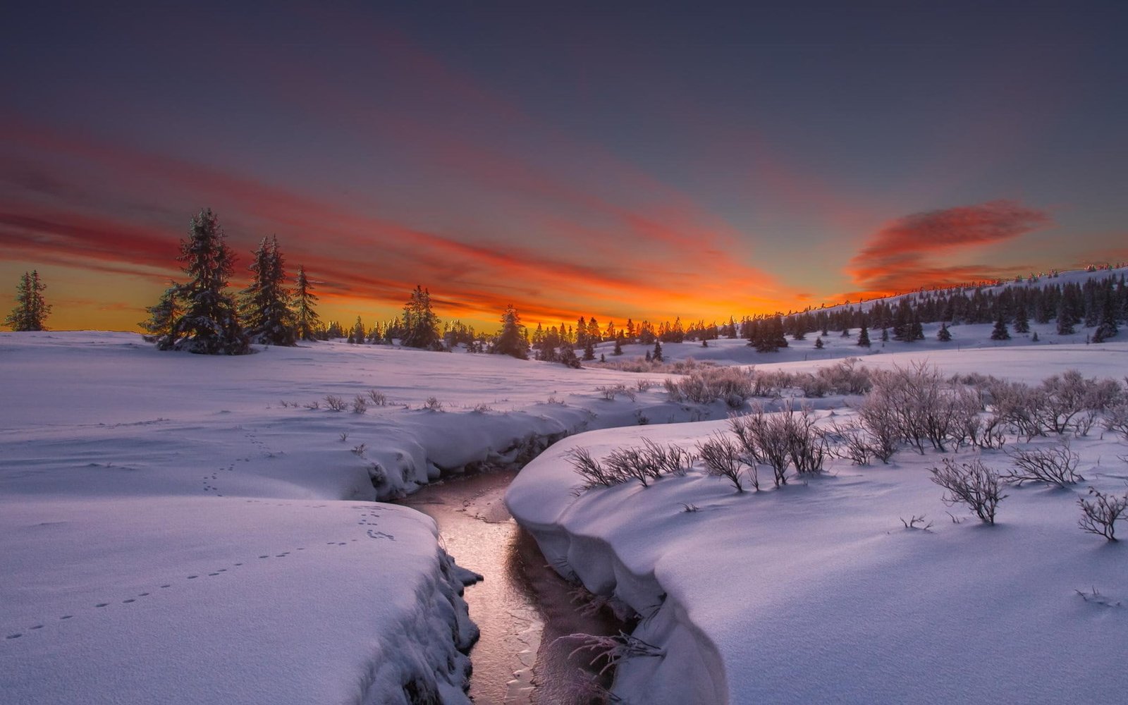 nature screen backgrounds winter cold temperature 2k