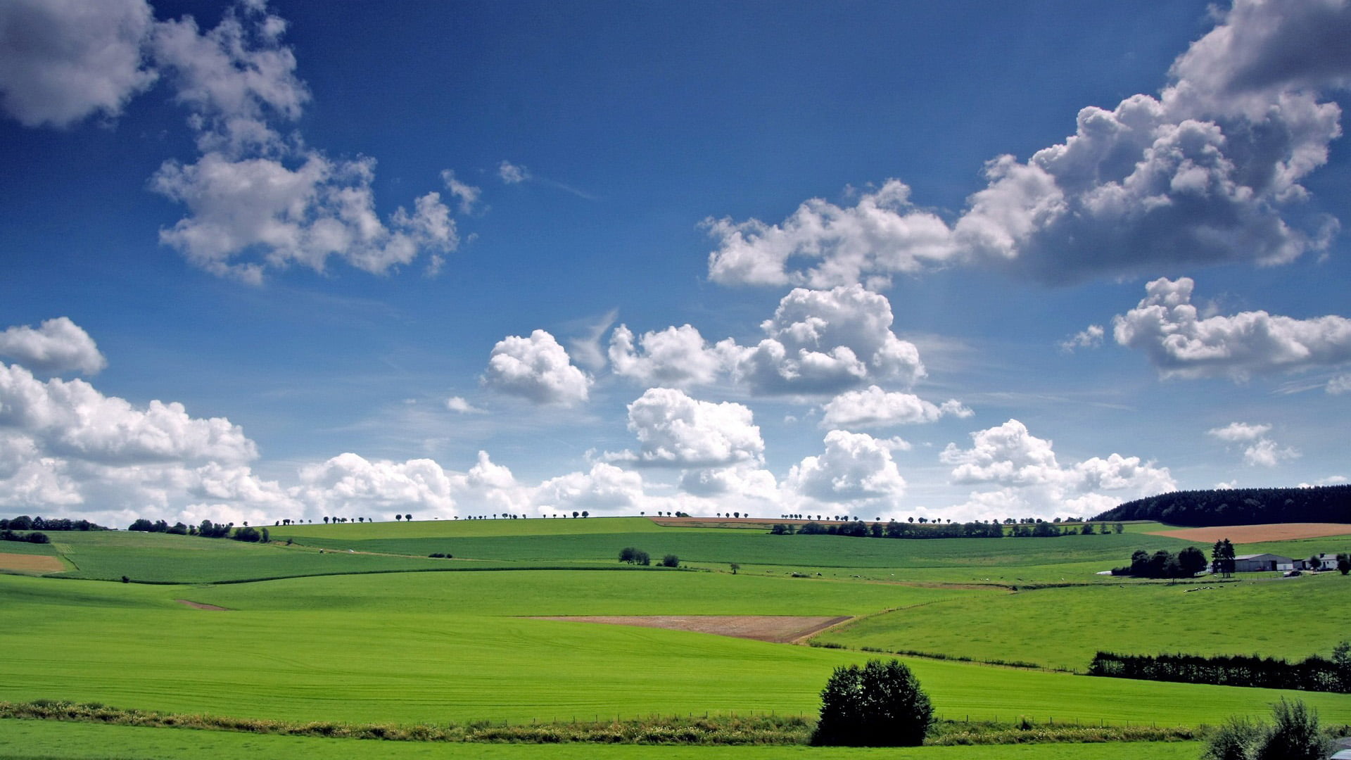 nature field grass grassland landscape sky meadow rural 2k