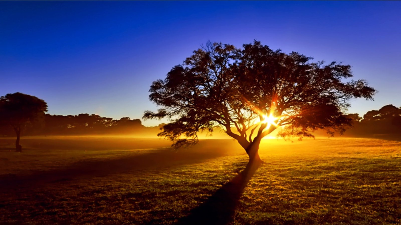 nature sun sunset sunrise sky star silhouette water 2k