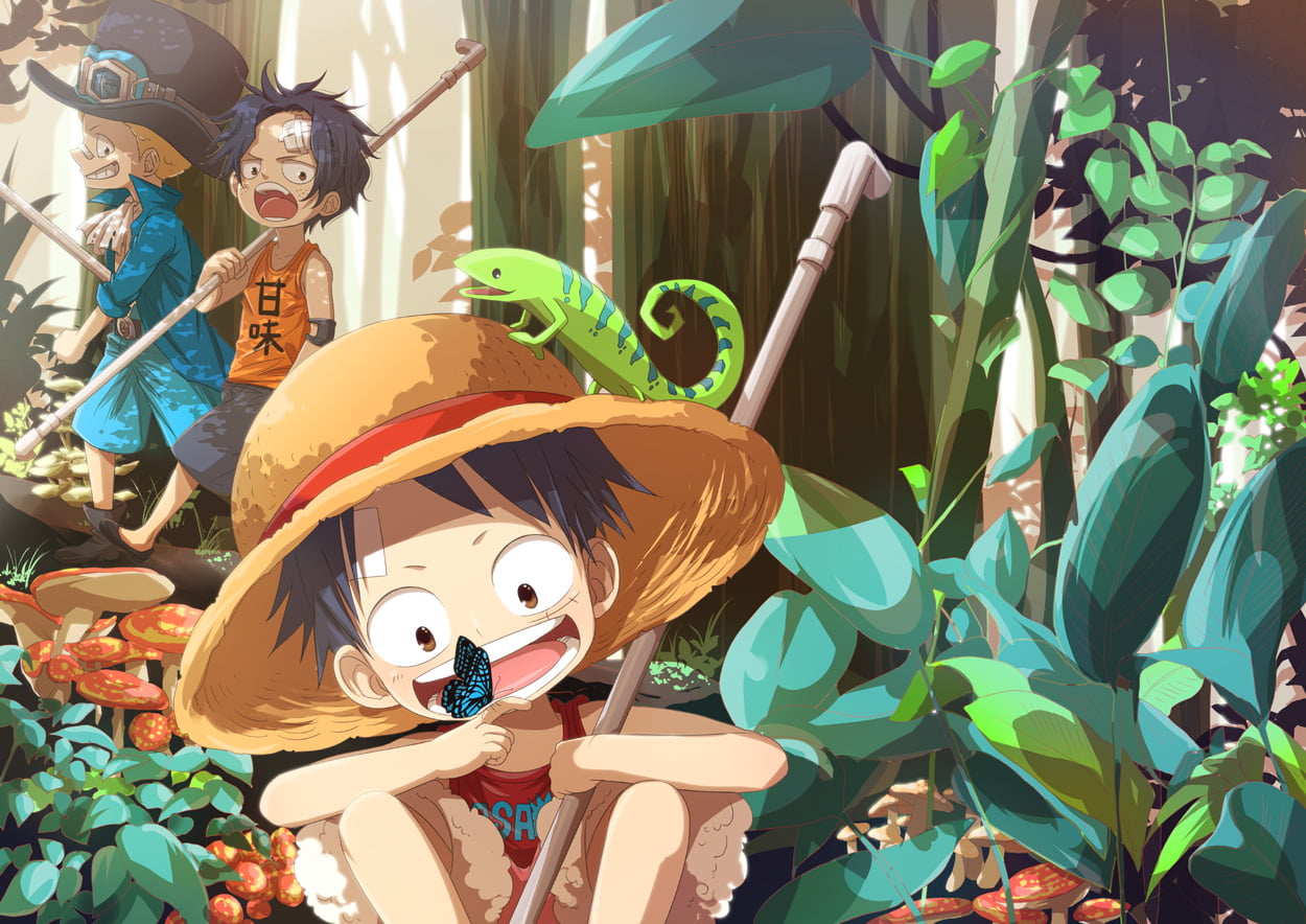 One Piece Luffy Ace and Sabbo wallpaper Monkey D Sabo
