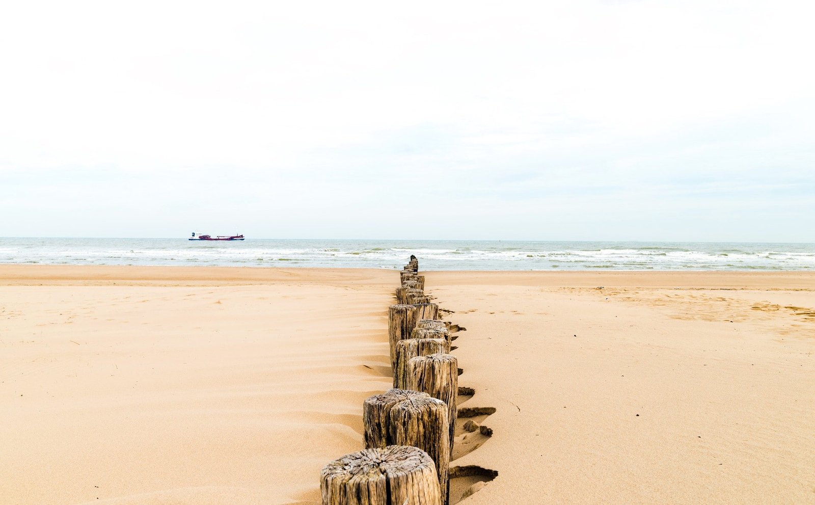 sea beach land water sky sand horizon over scenics nature 2k