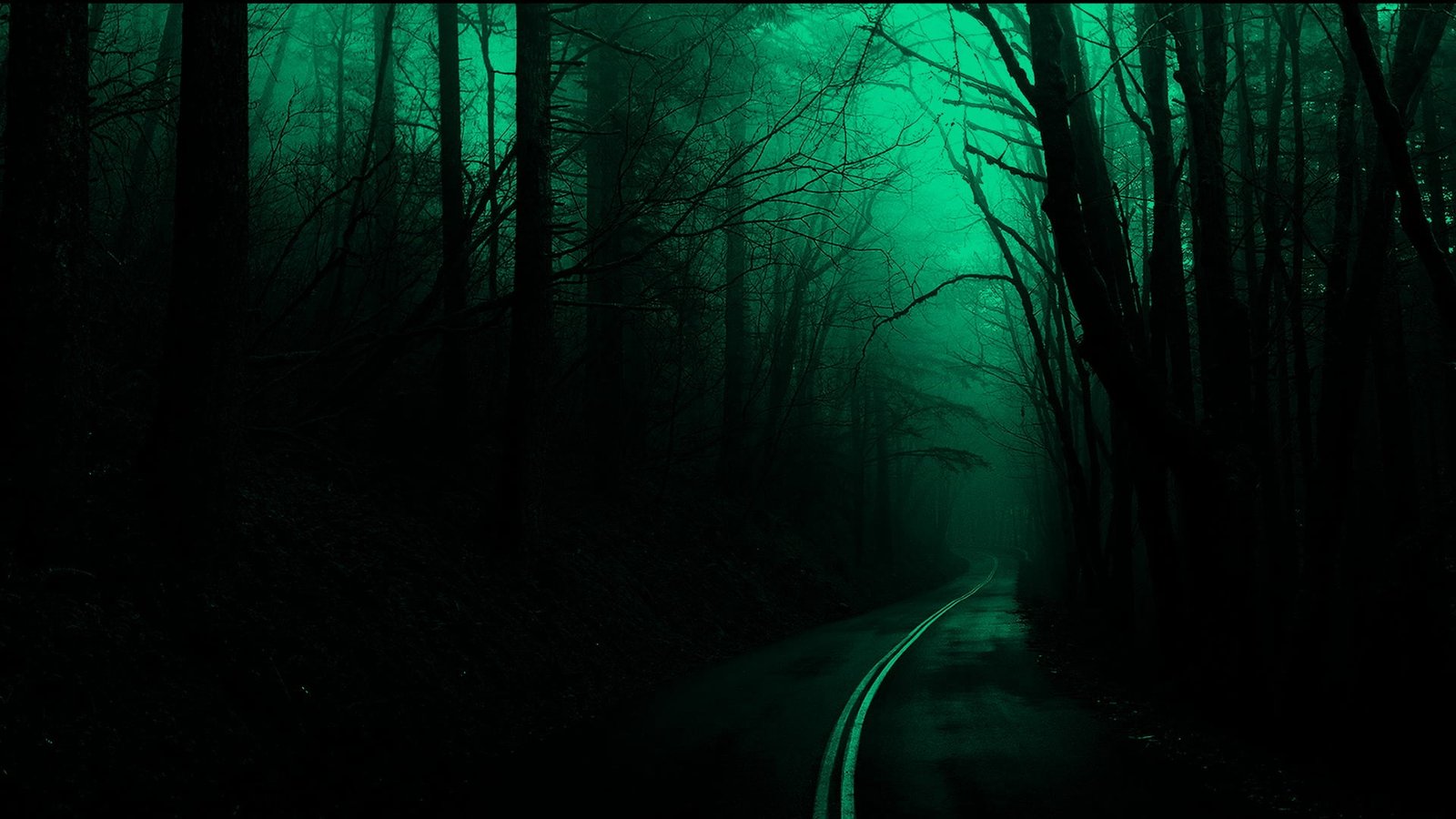 silhouette of forest trees road dark nature spooky plant 2k