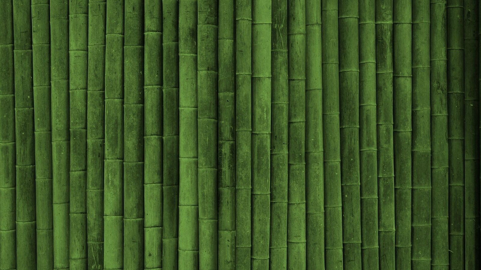 abstract bamboo wood material texture pattern plant leaf 2k