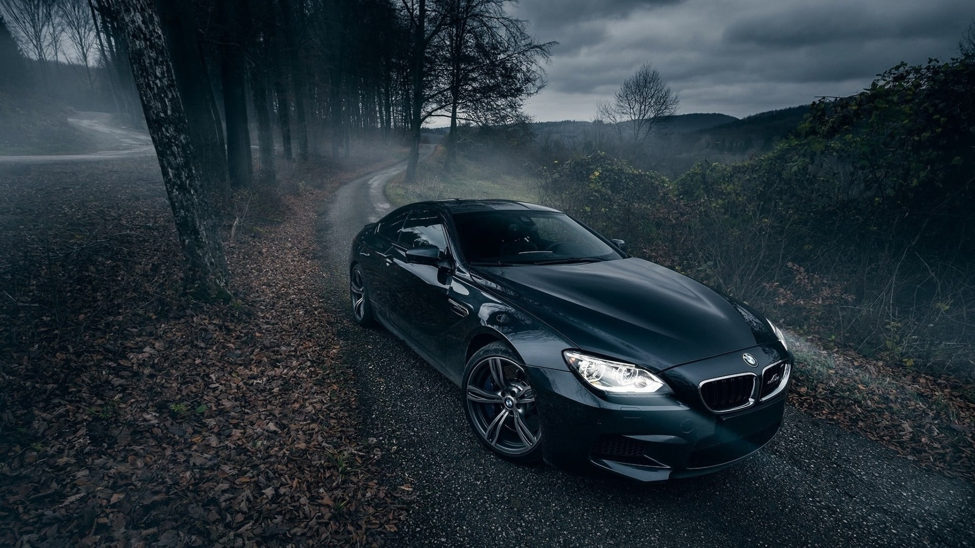 black BMW coupe car nature trees road vehicle mode of transportation 2k