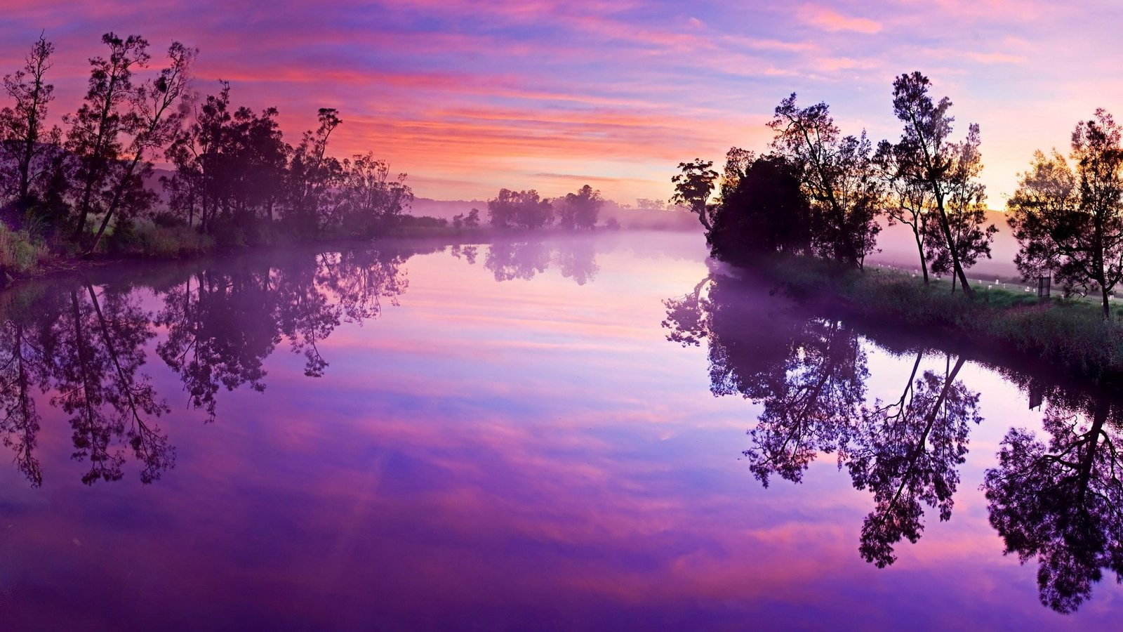 download nature for pc tree reflection beauty in 2k