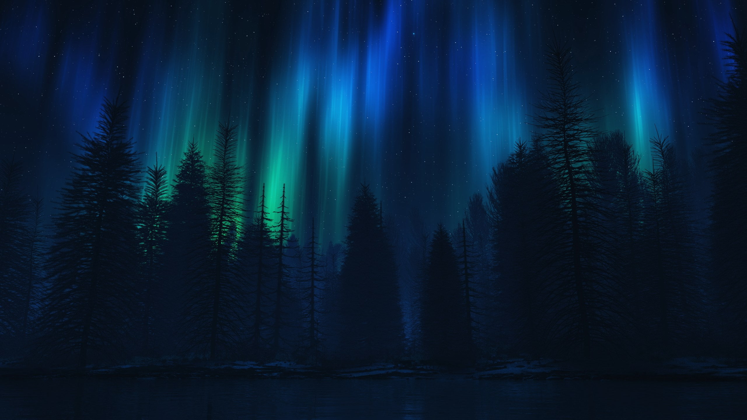 download nature pack tree plant forest beauty in 2k