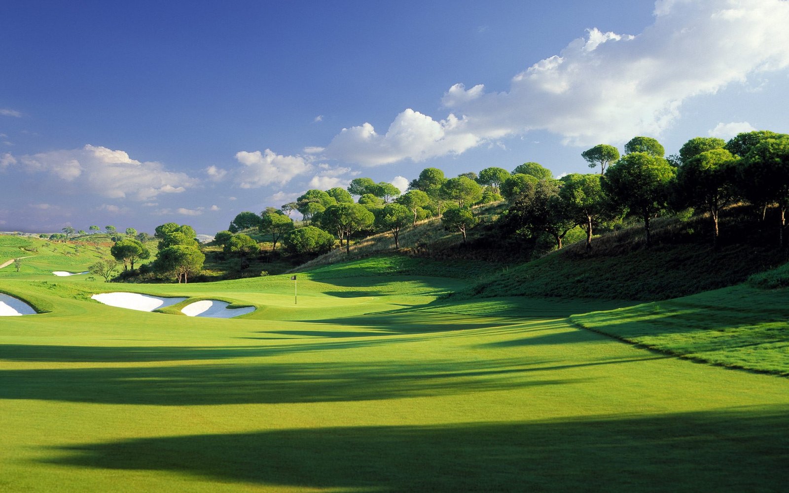 green grass and trees golf course field landscape nature 2k