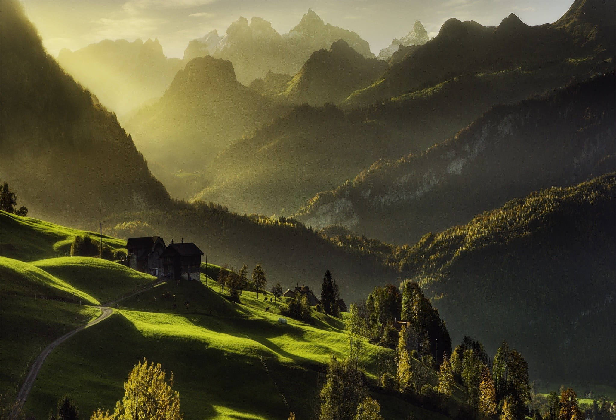 green mountain with trees Switzerland mountains mist forest 2k